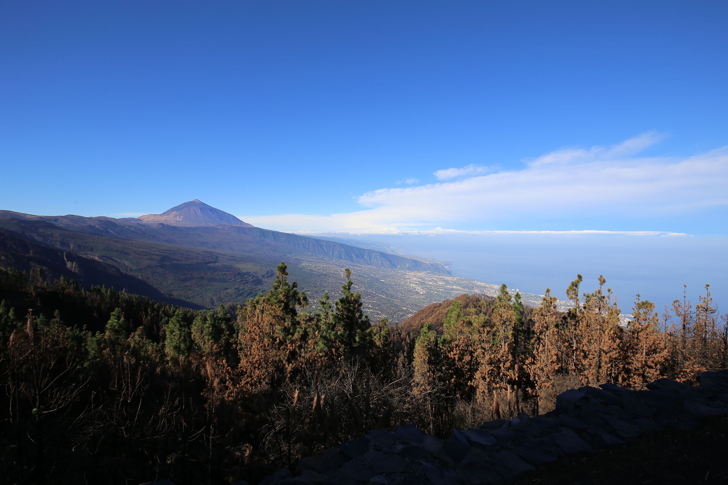 tenerife