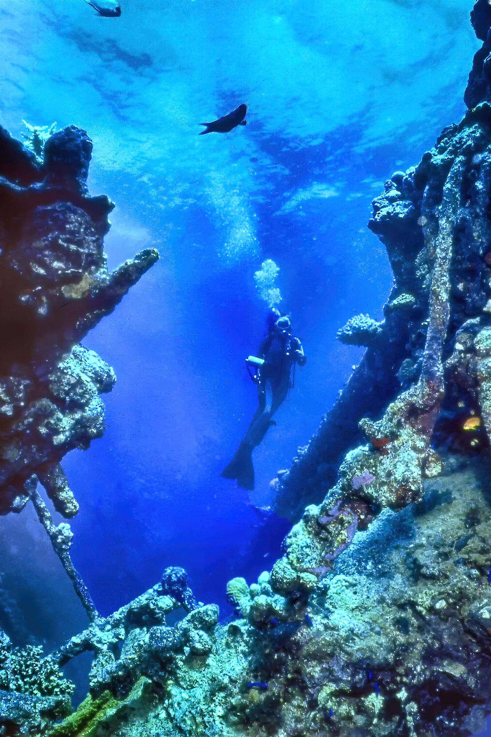 Il relitto dell'Umbria Foto analogica