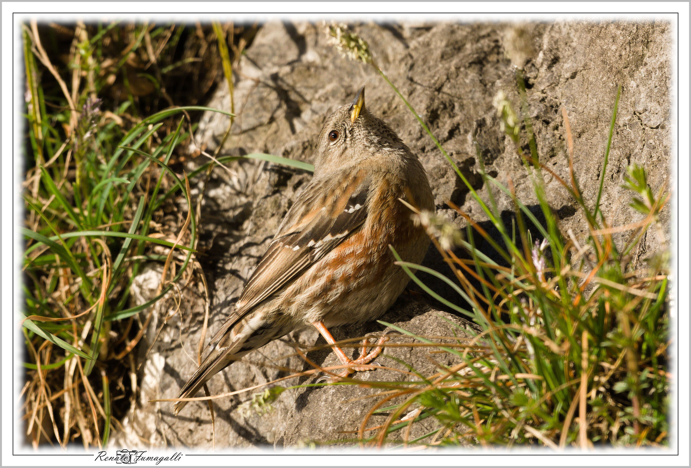 Controlling Who Is Above