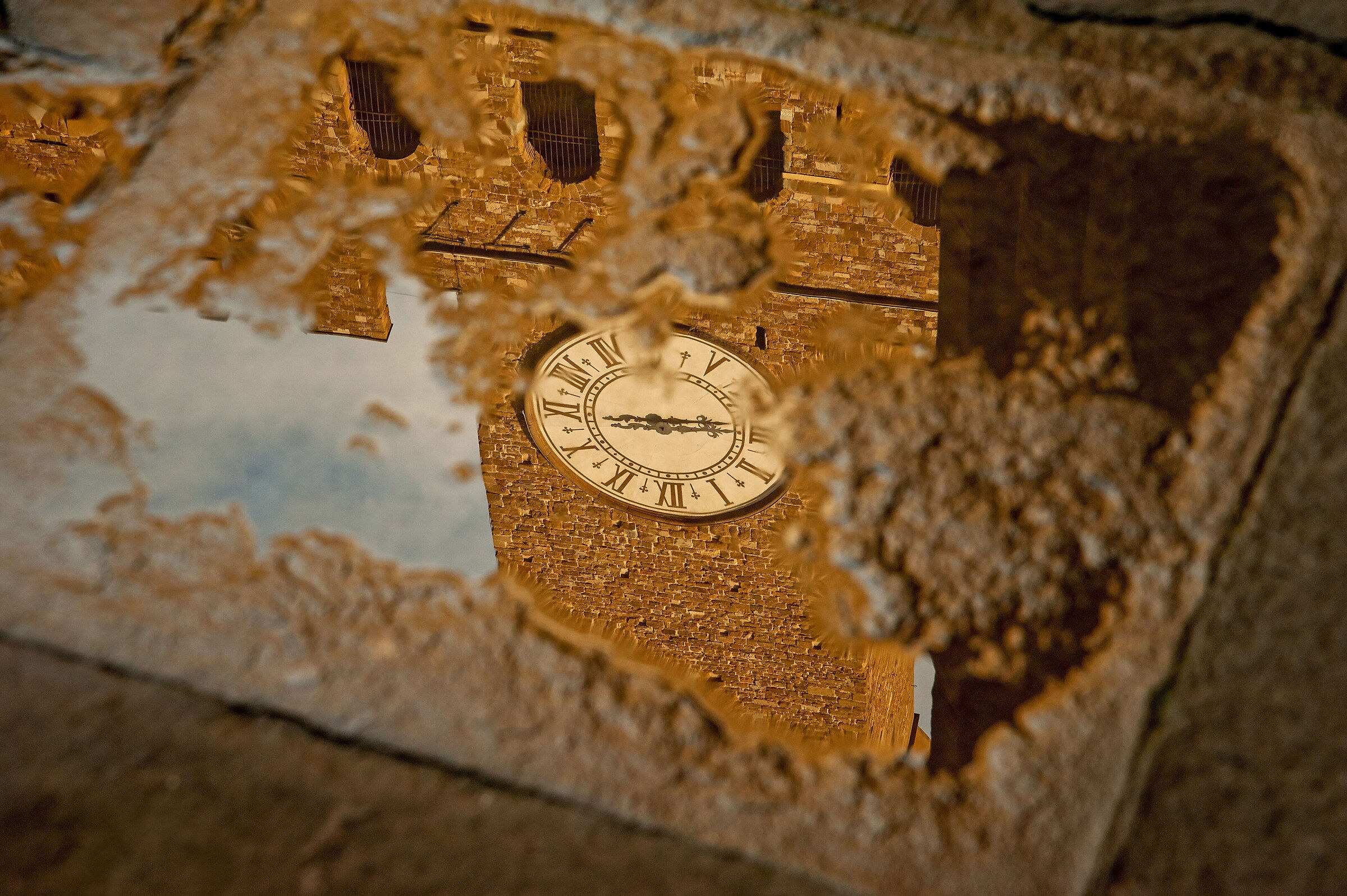 l'arte in una pozza.