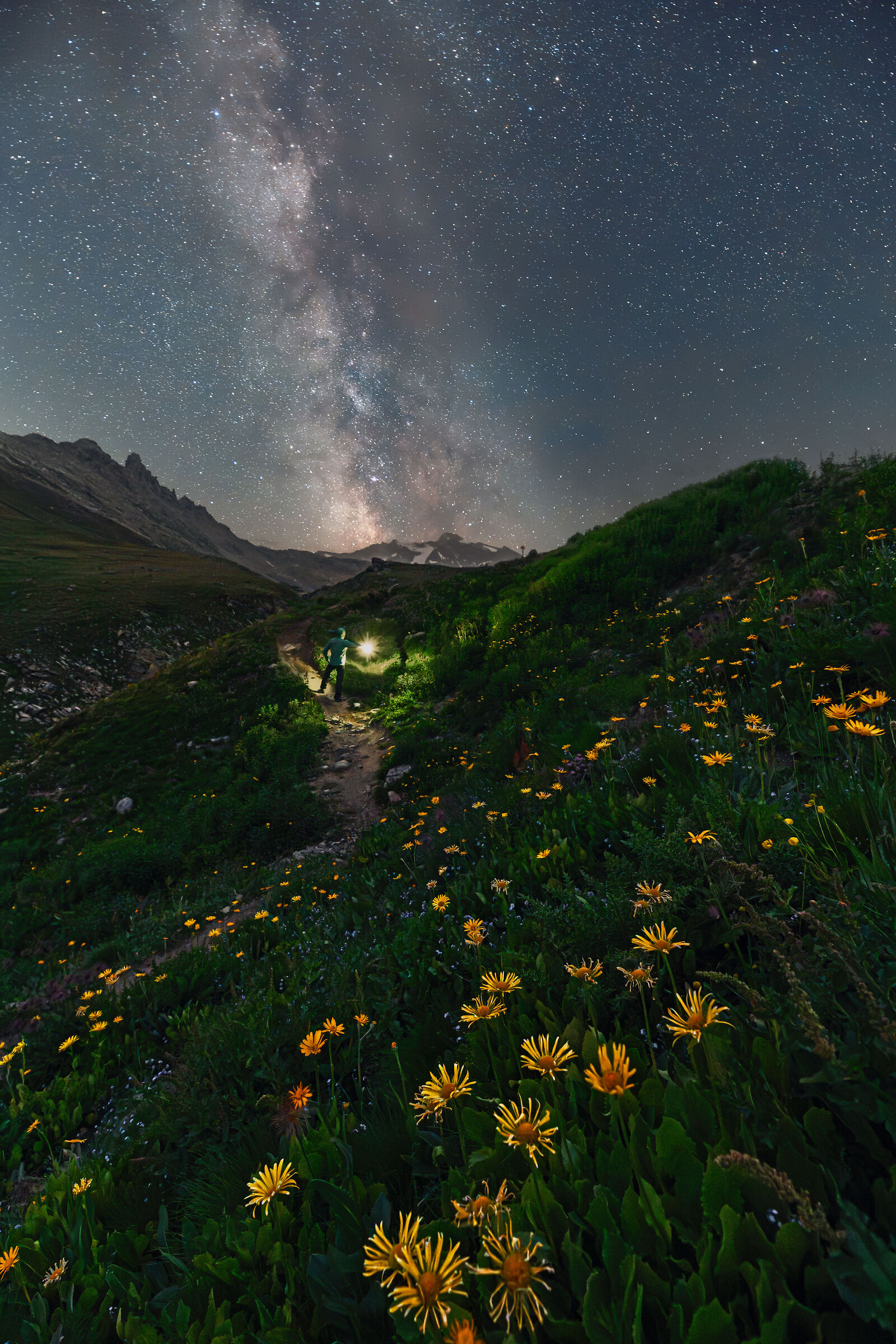 Un viaggio tra fiori e stelle