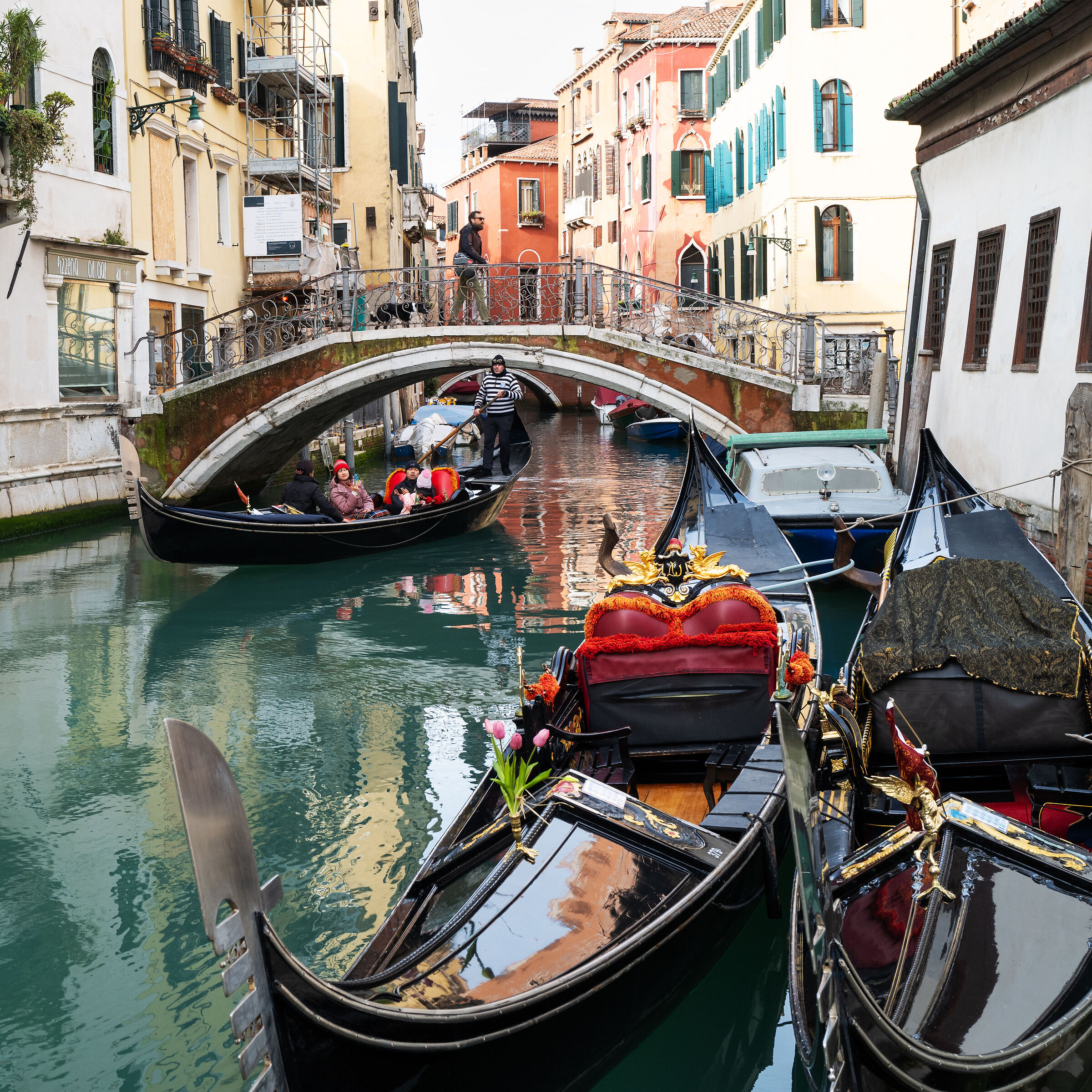 Venezia