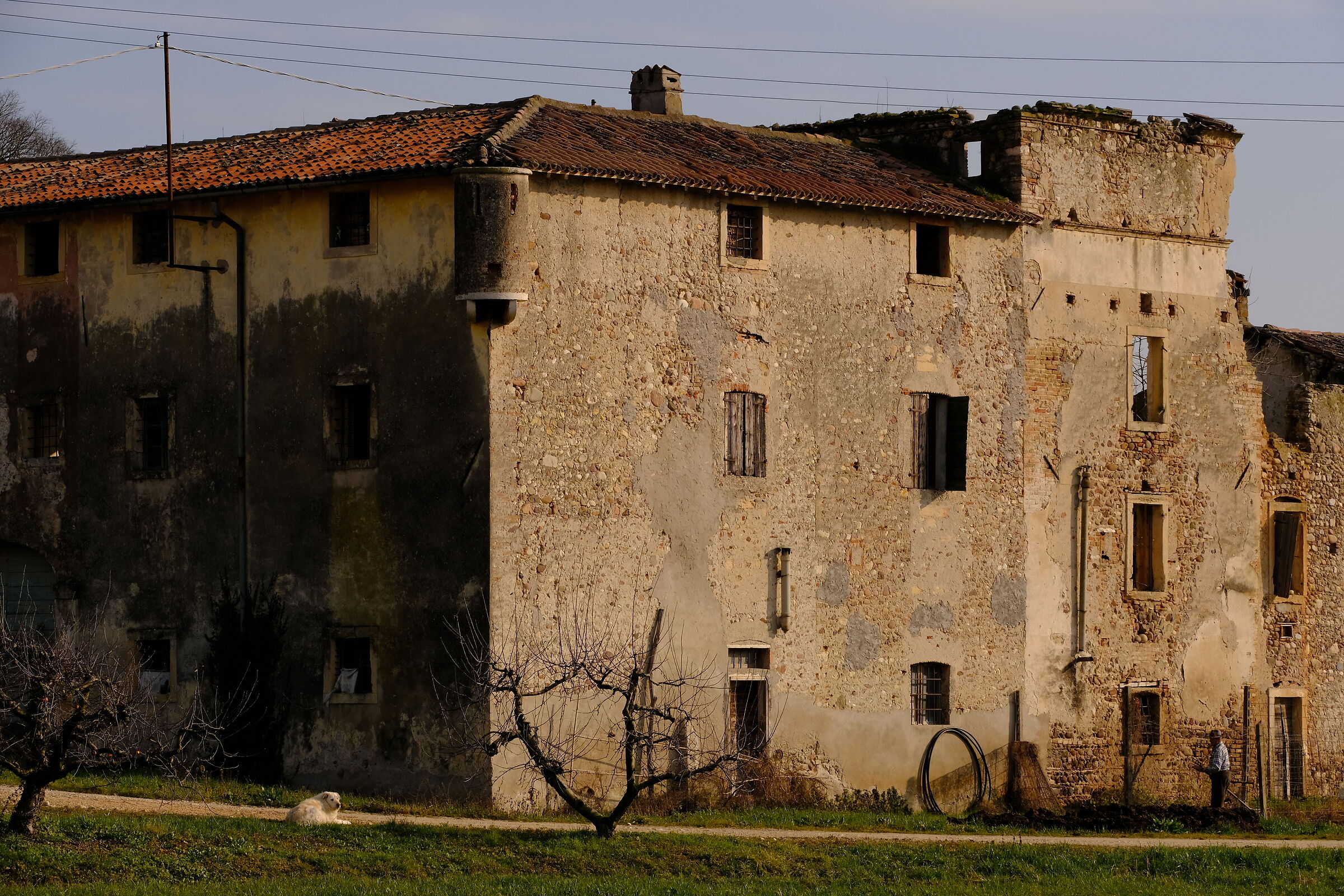I make the vegetable garden and you check....
