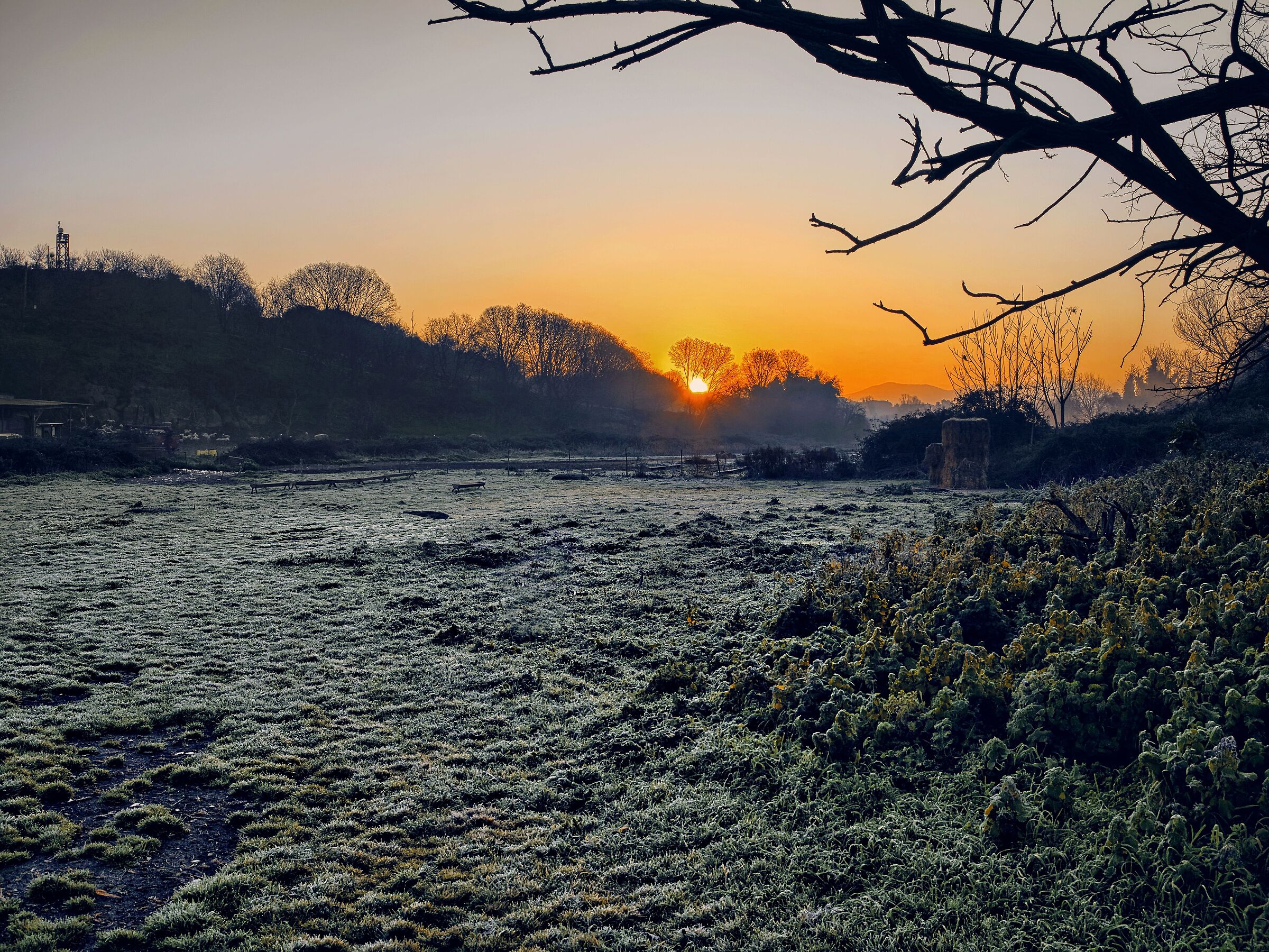 First rays of sunshine in Caffarella on a freezing morning