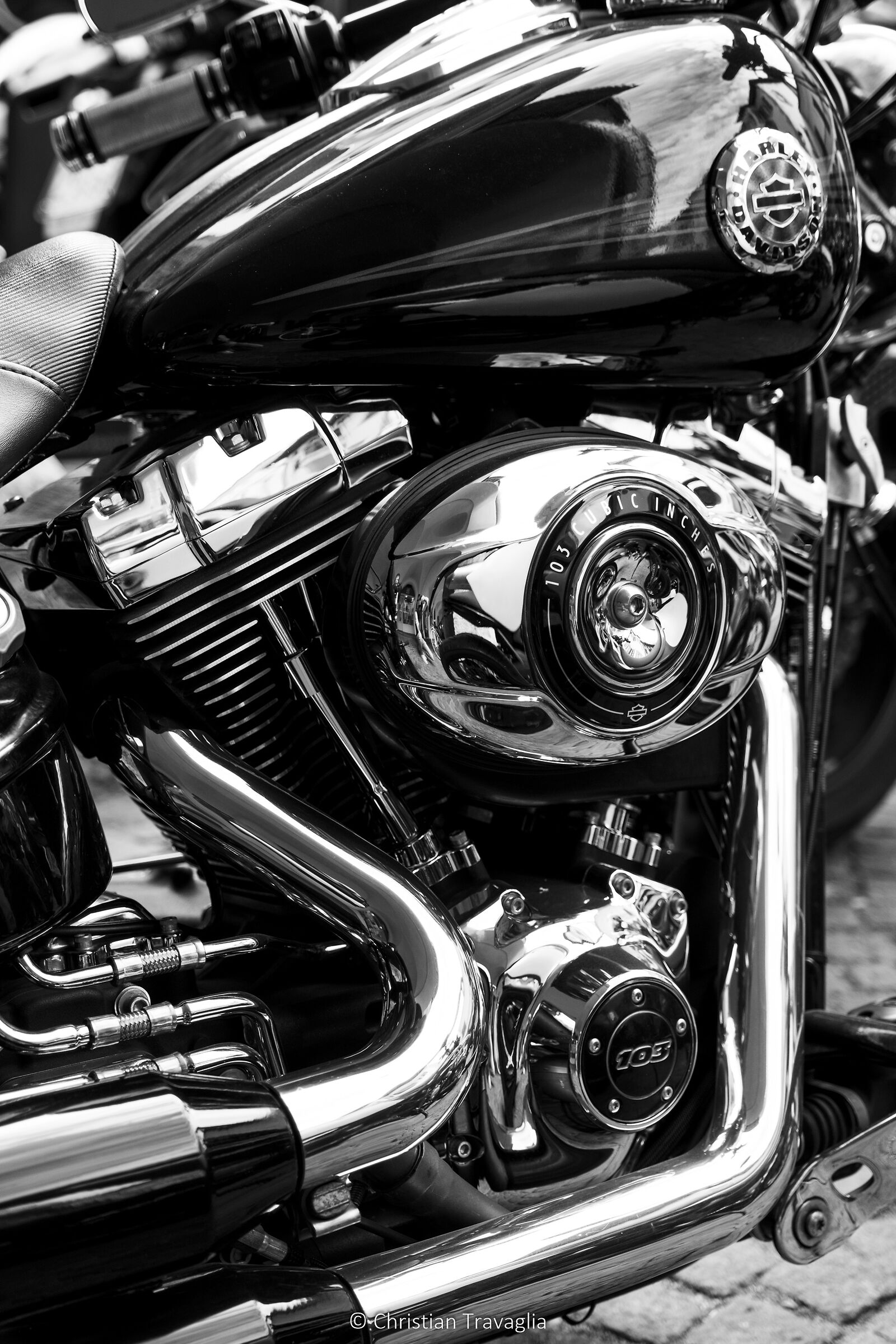 Harley - Primavera 2023