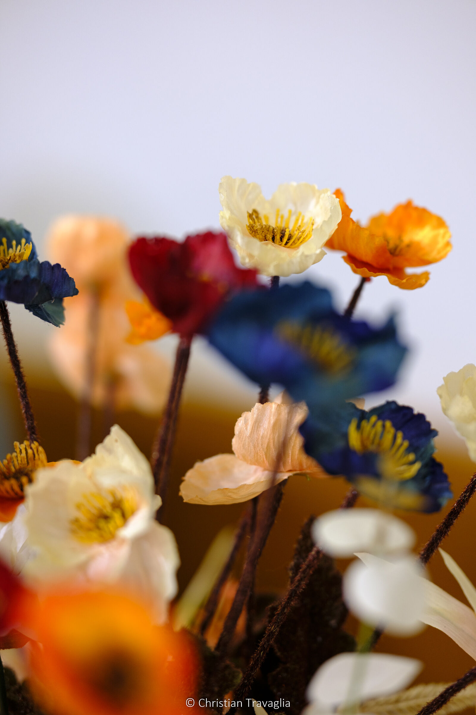 Flowers - Fall 2024