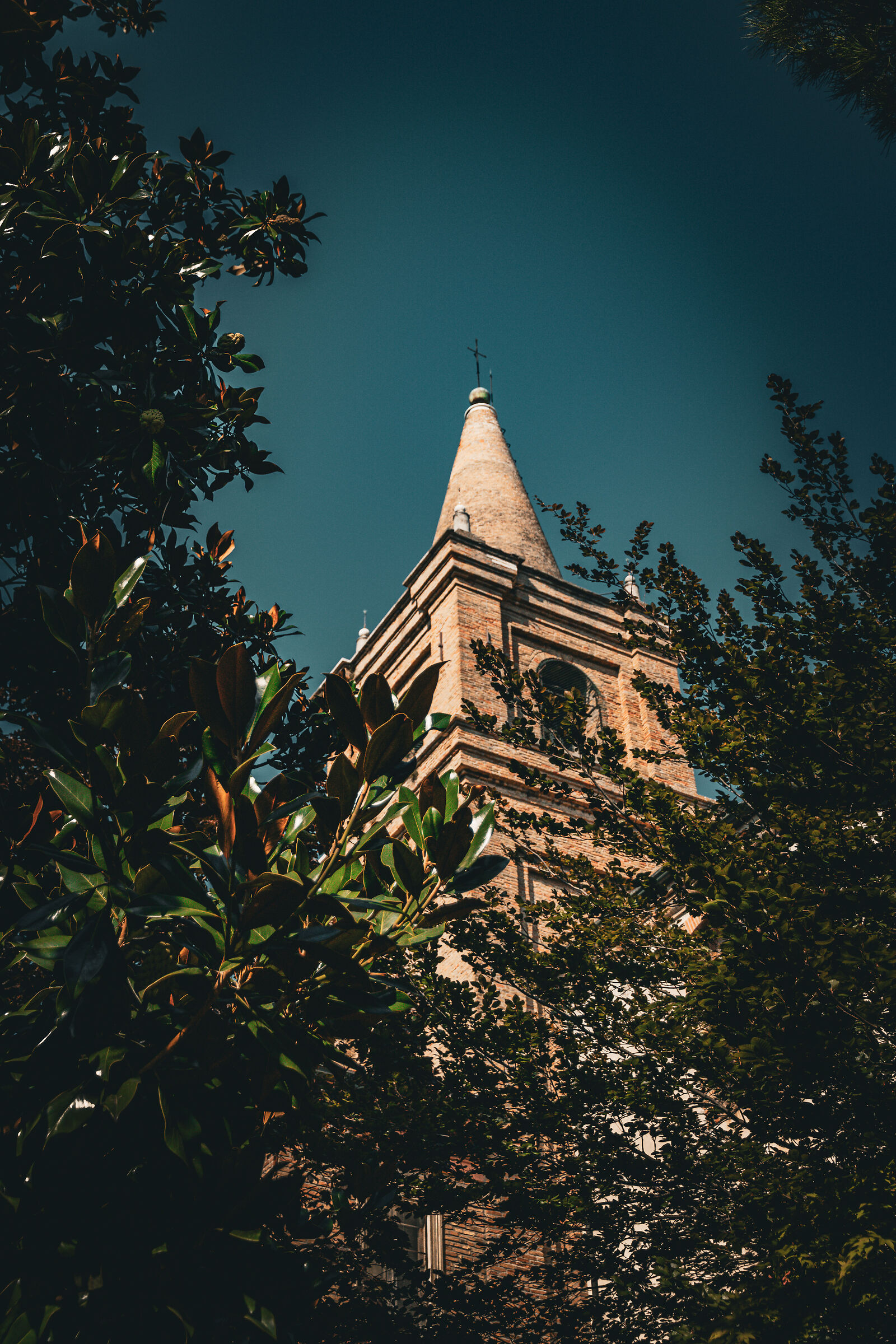 Bell tower among the leaves