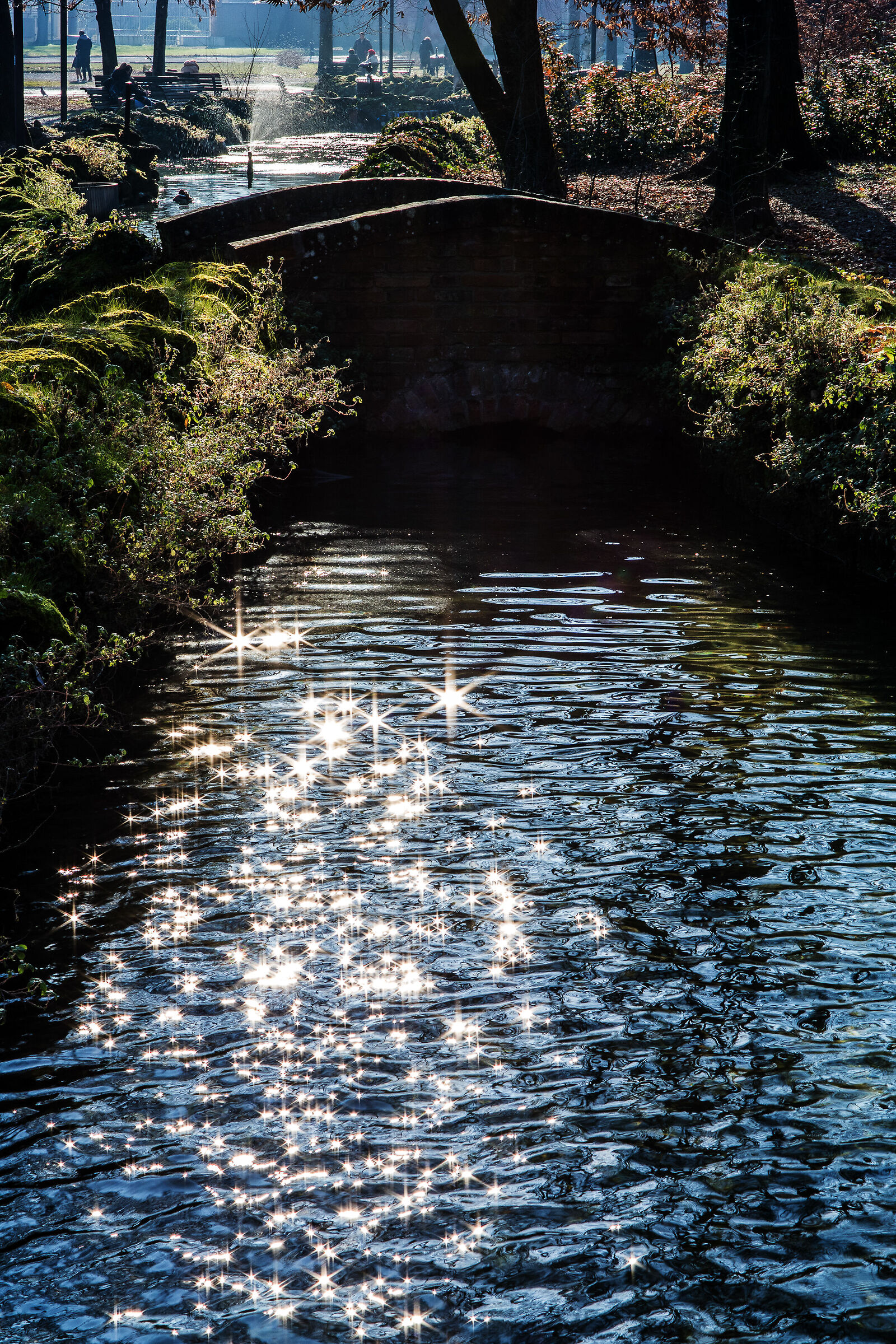Stelle d'acqua