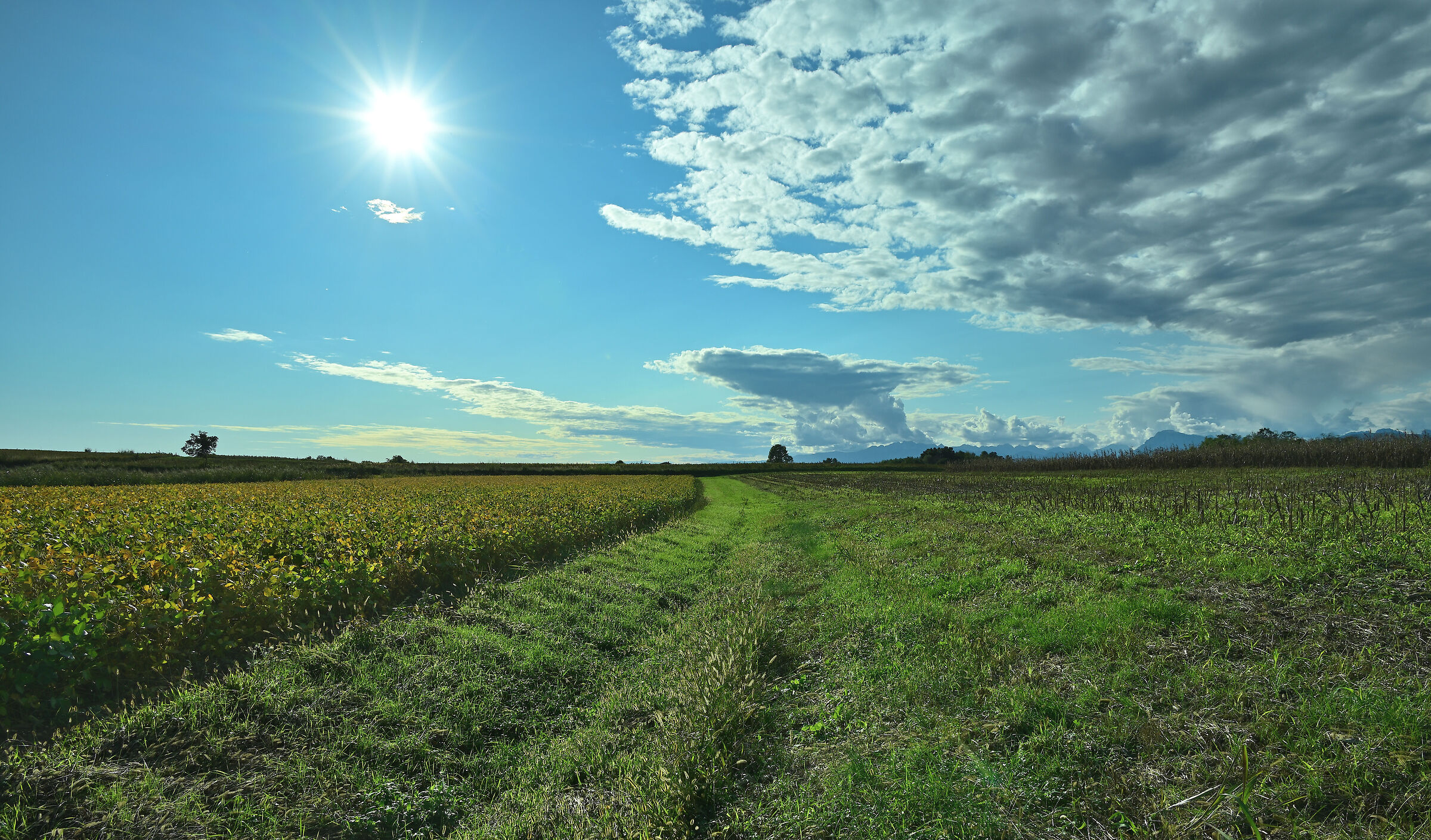 Con il sole negli occhi