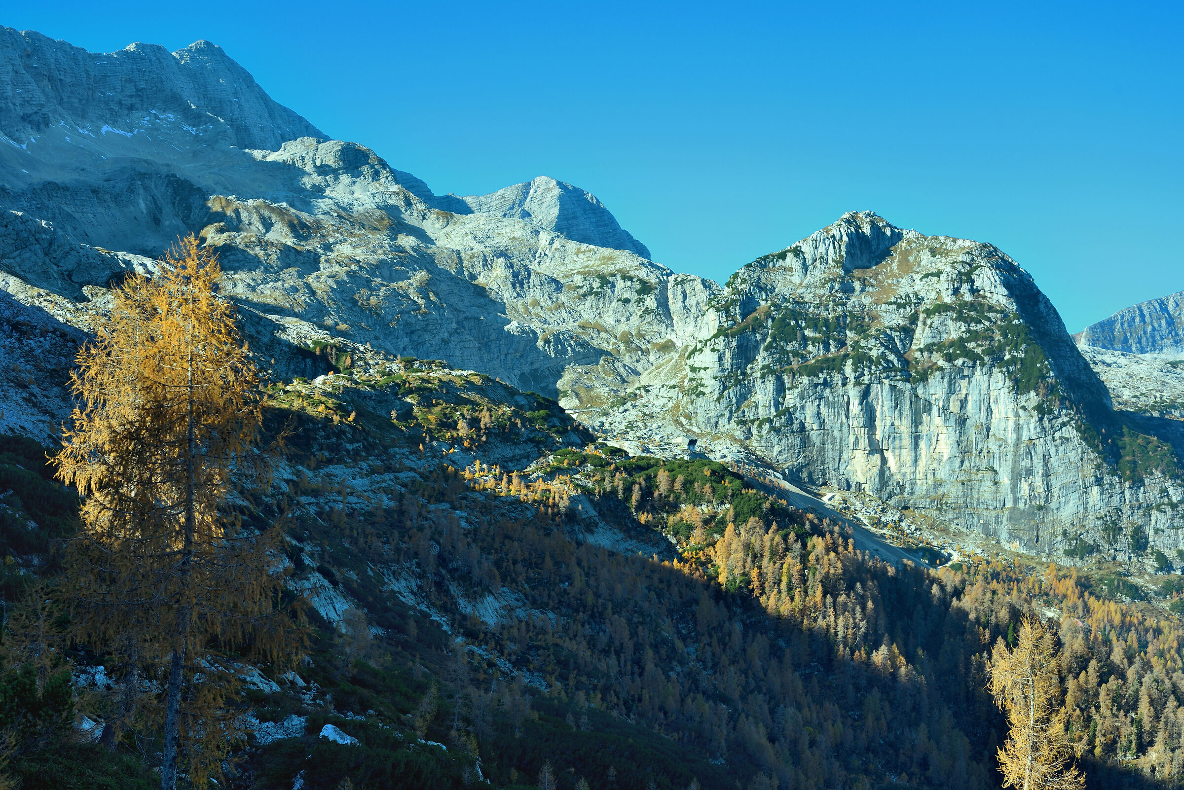 Salendo sugli altopiani del Canin