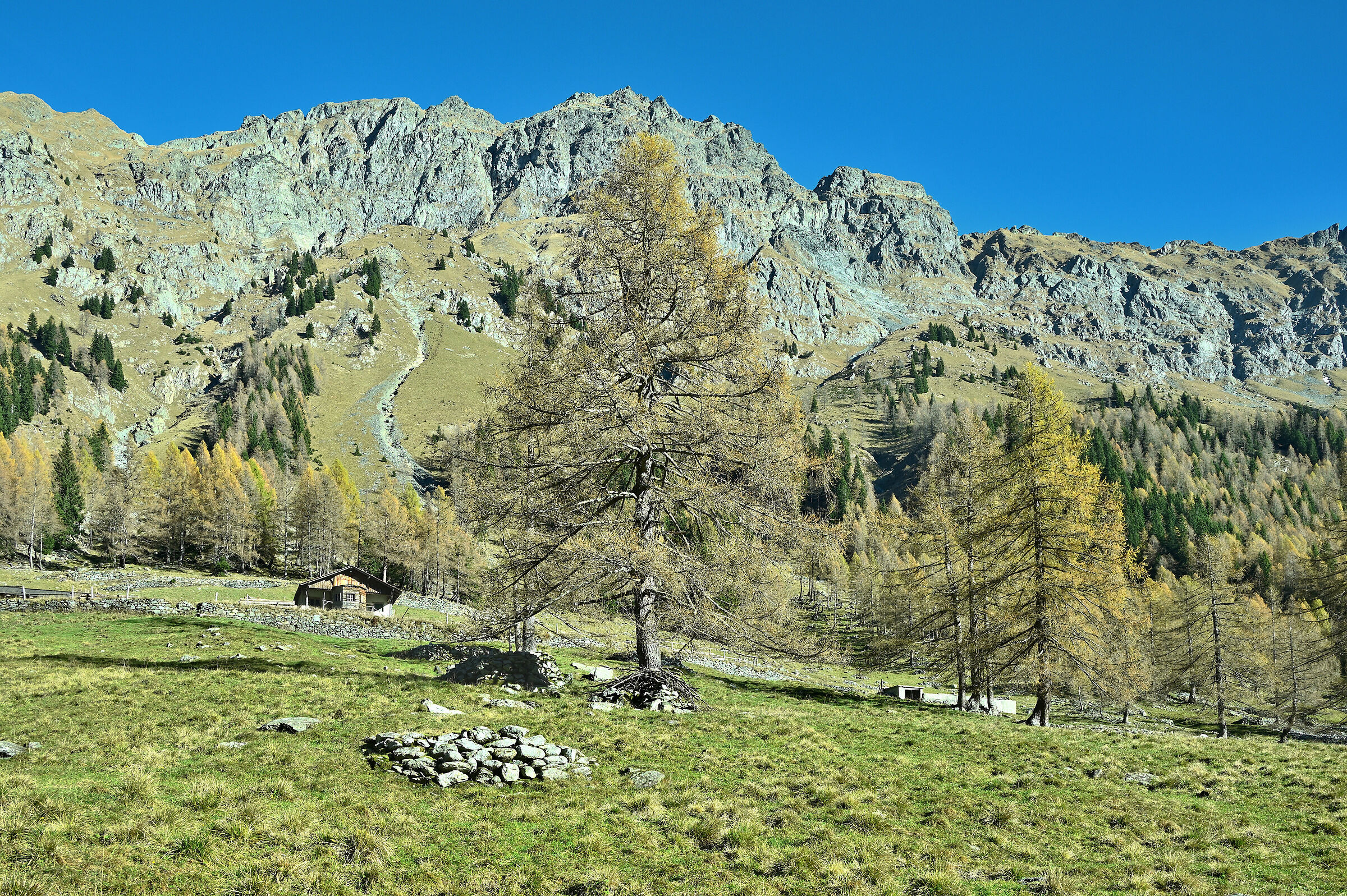Casera Fleons di sotto.