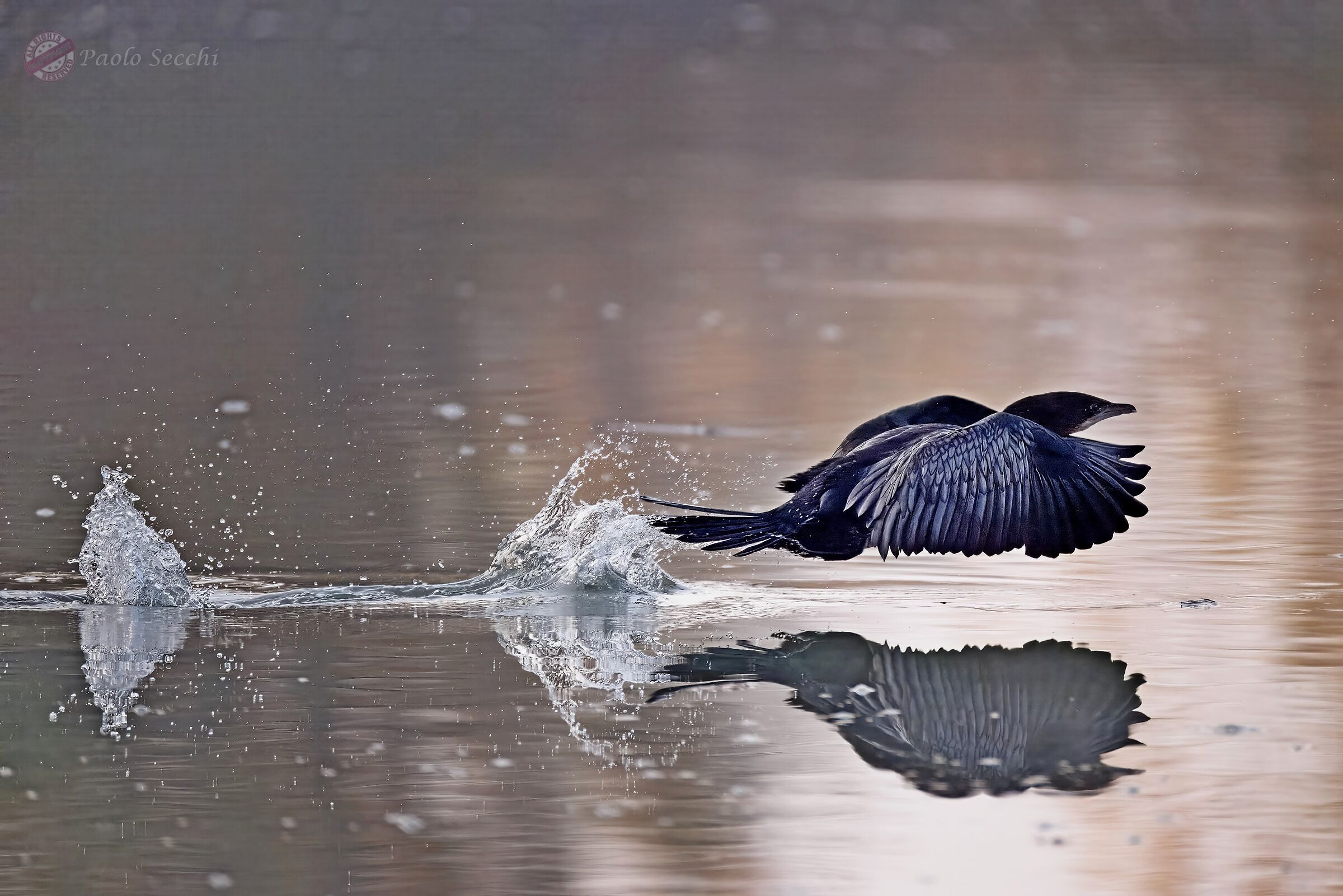 Almost like a hovercraft
