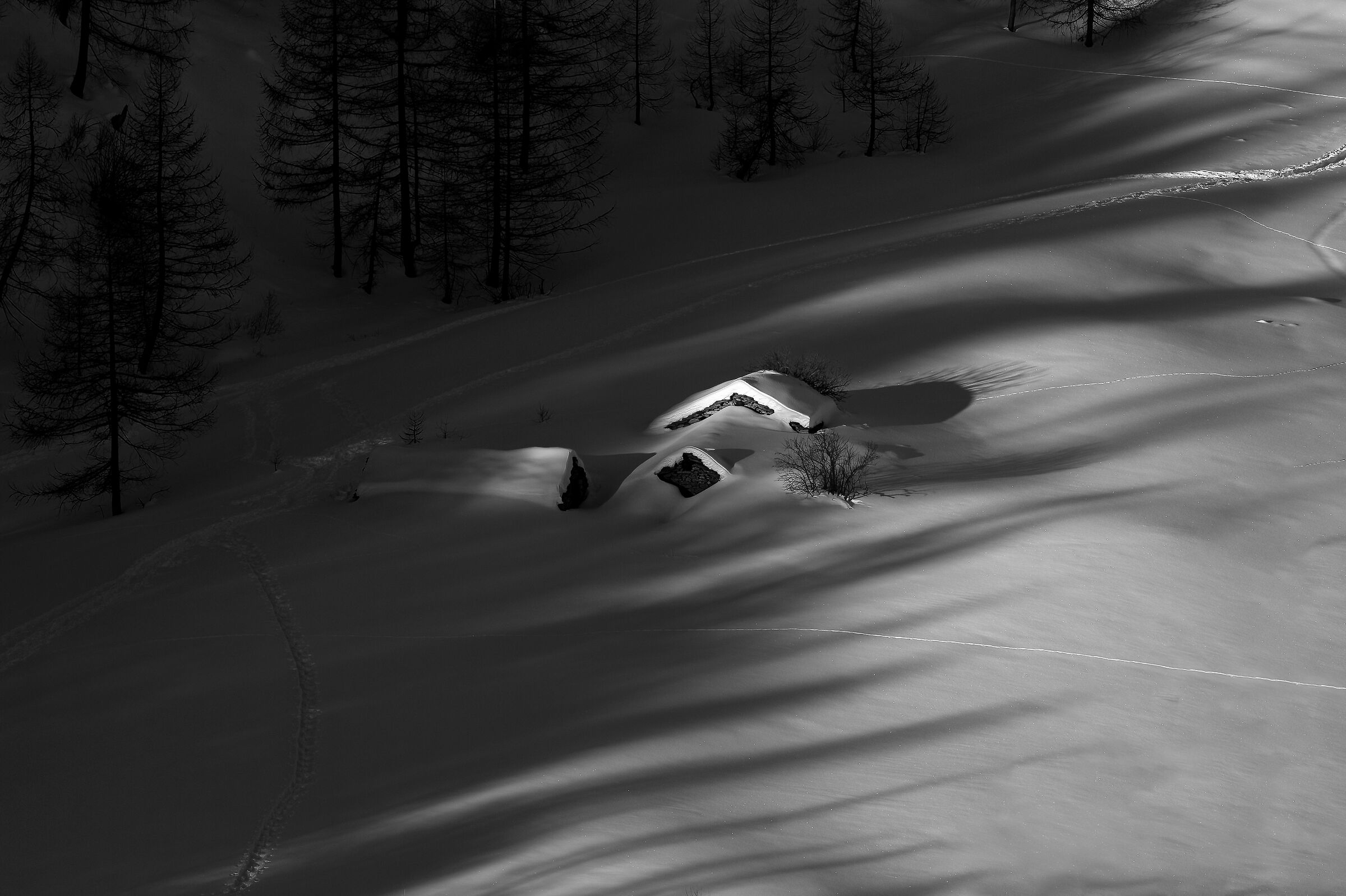 Gran Paradiso National Park - Piedmont