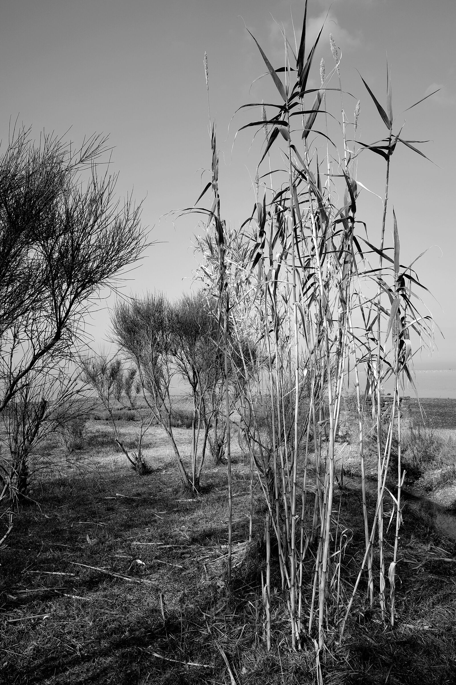 Una giornata uggiosa