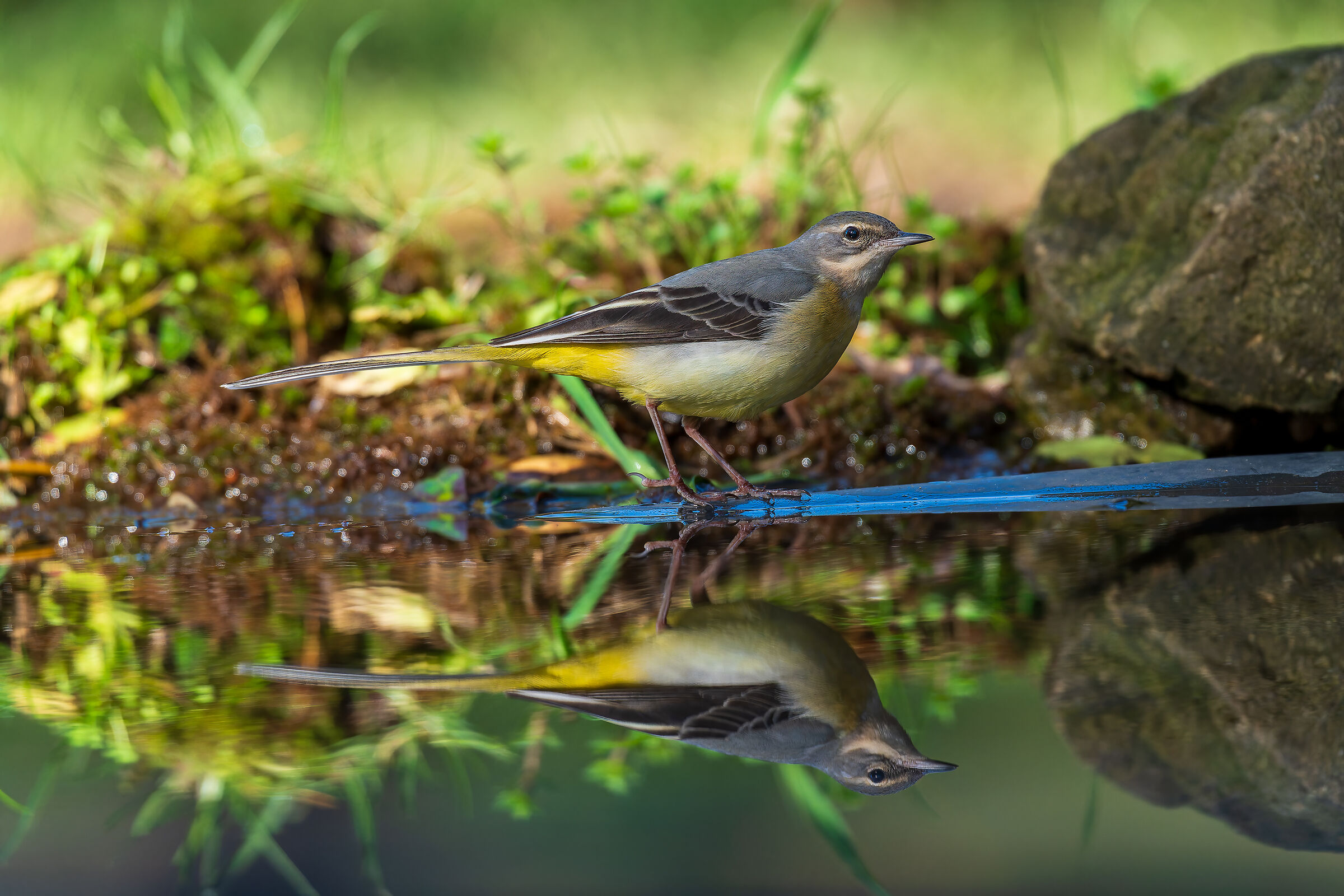 Ballerina in the mirror