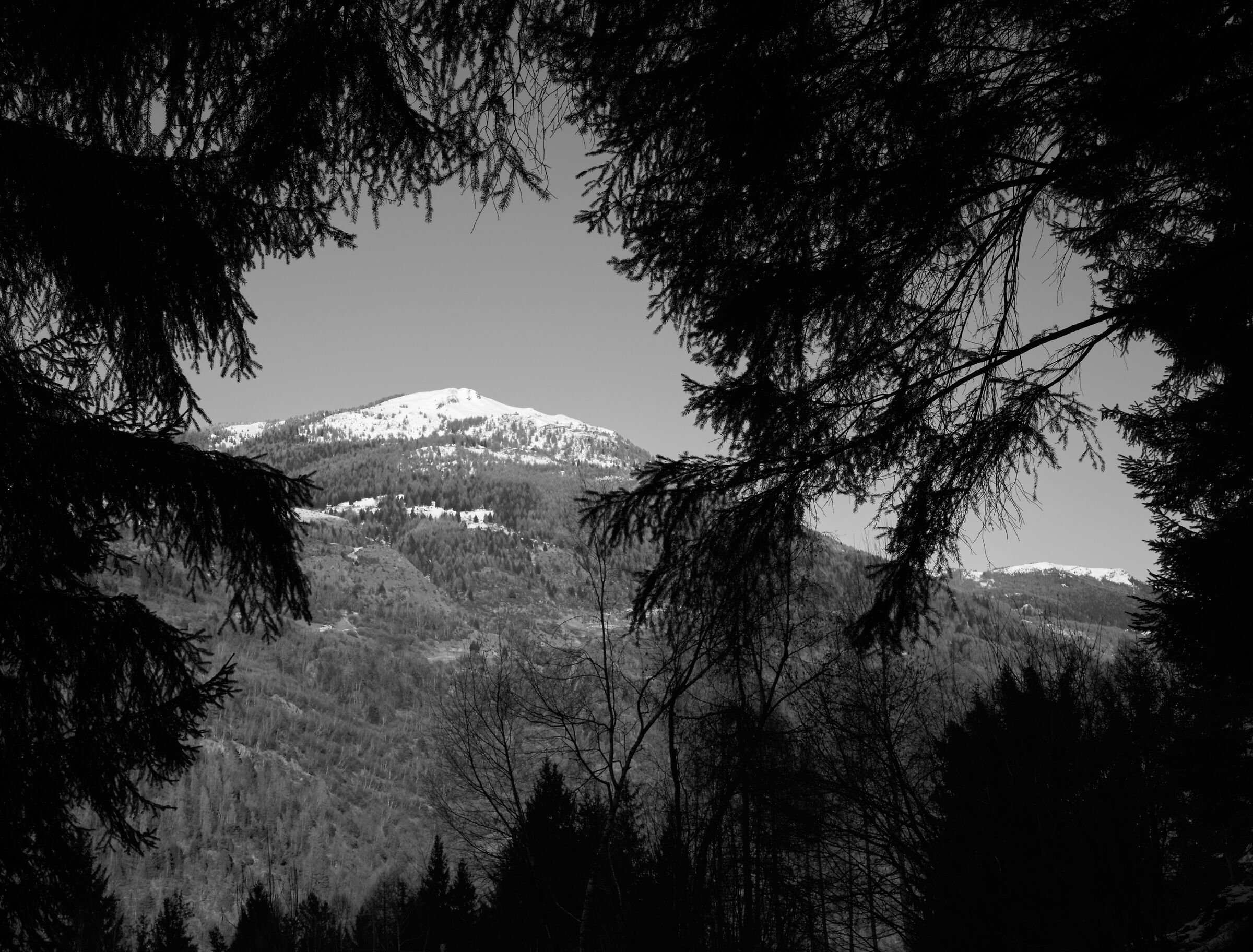Monte Padrio and Mortirolo