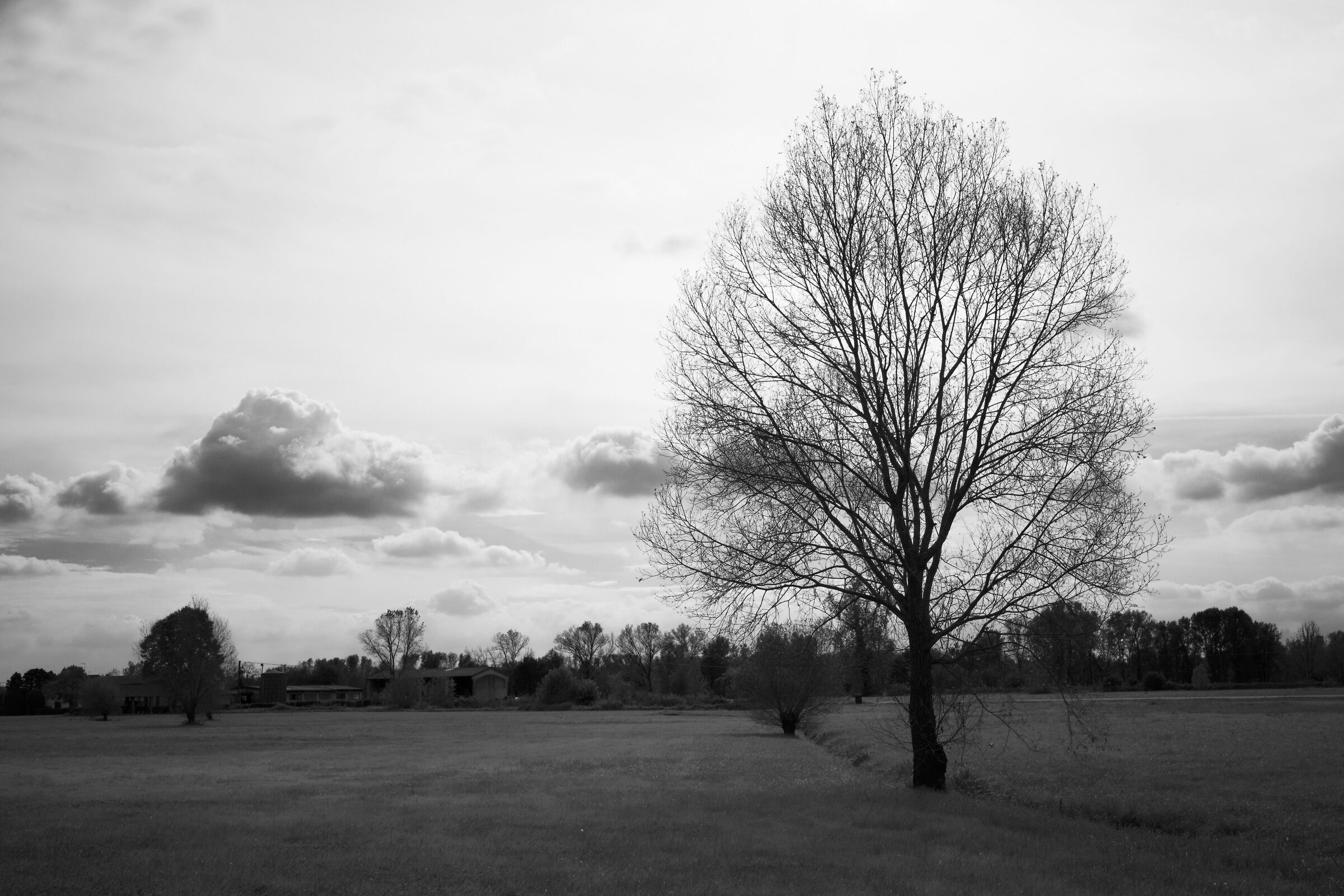 The Ticino Park