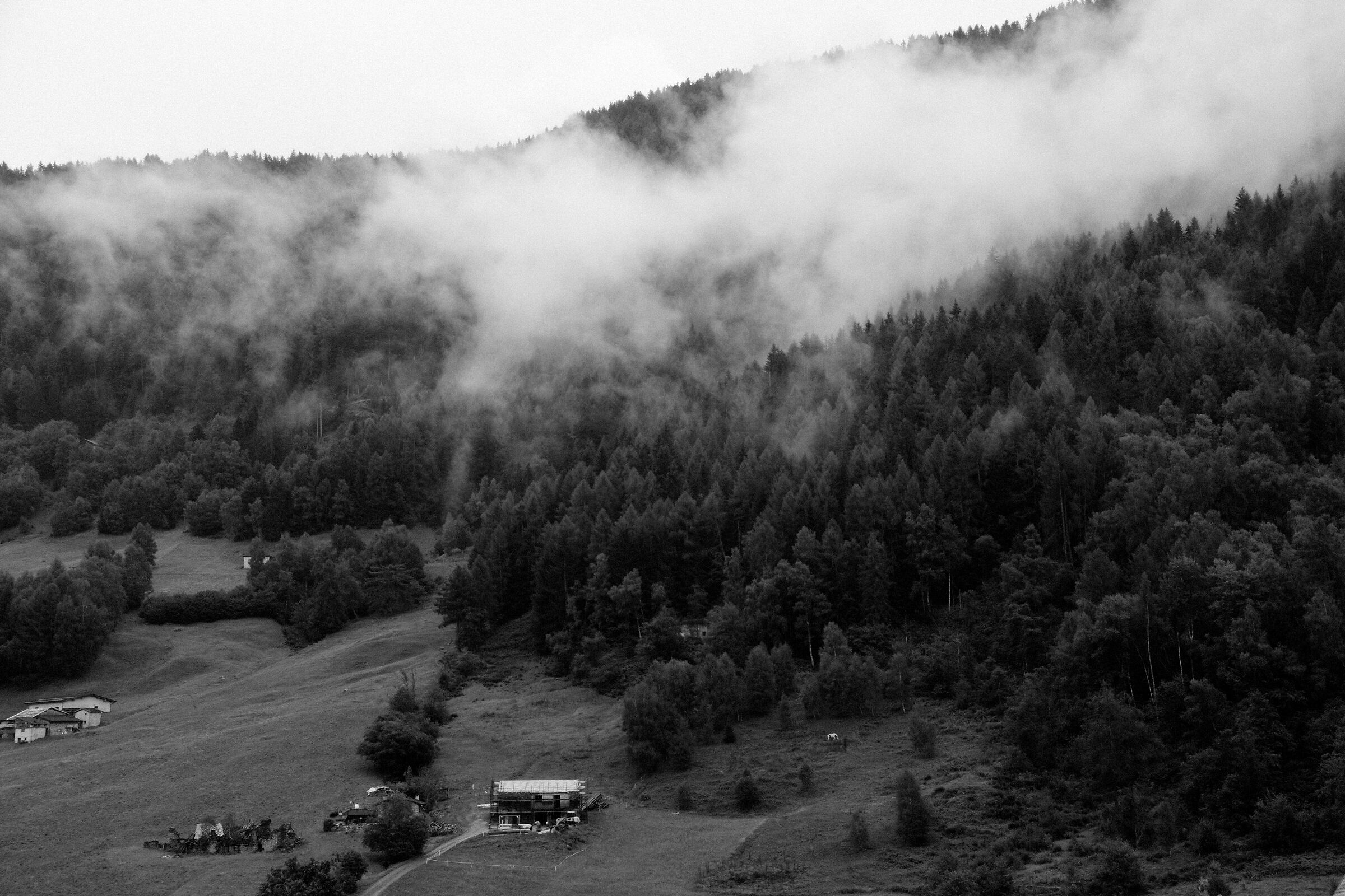Aprica