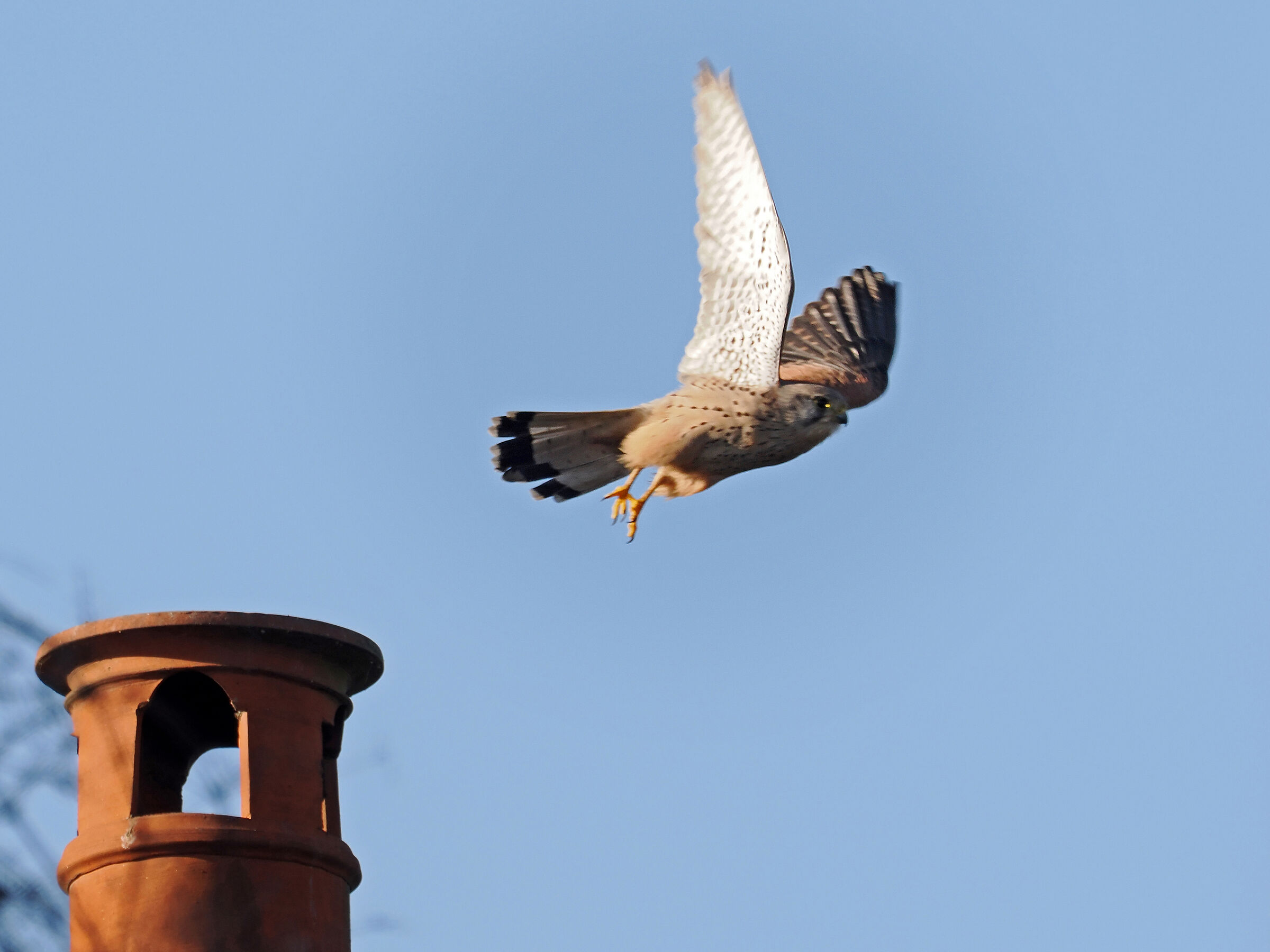 The break from the fireplace