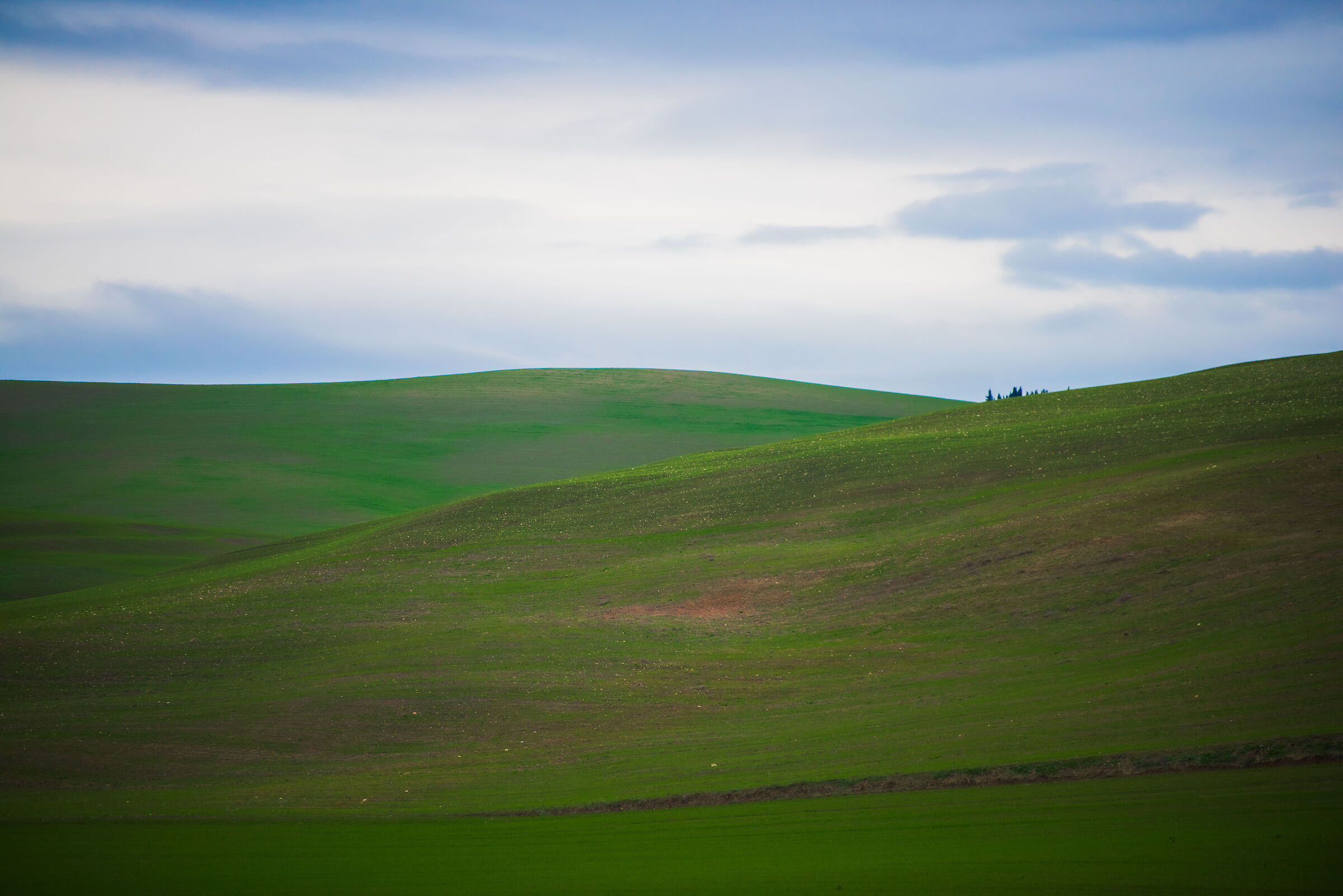 The hills of the master Fontana