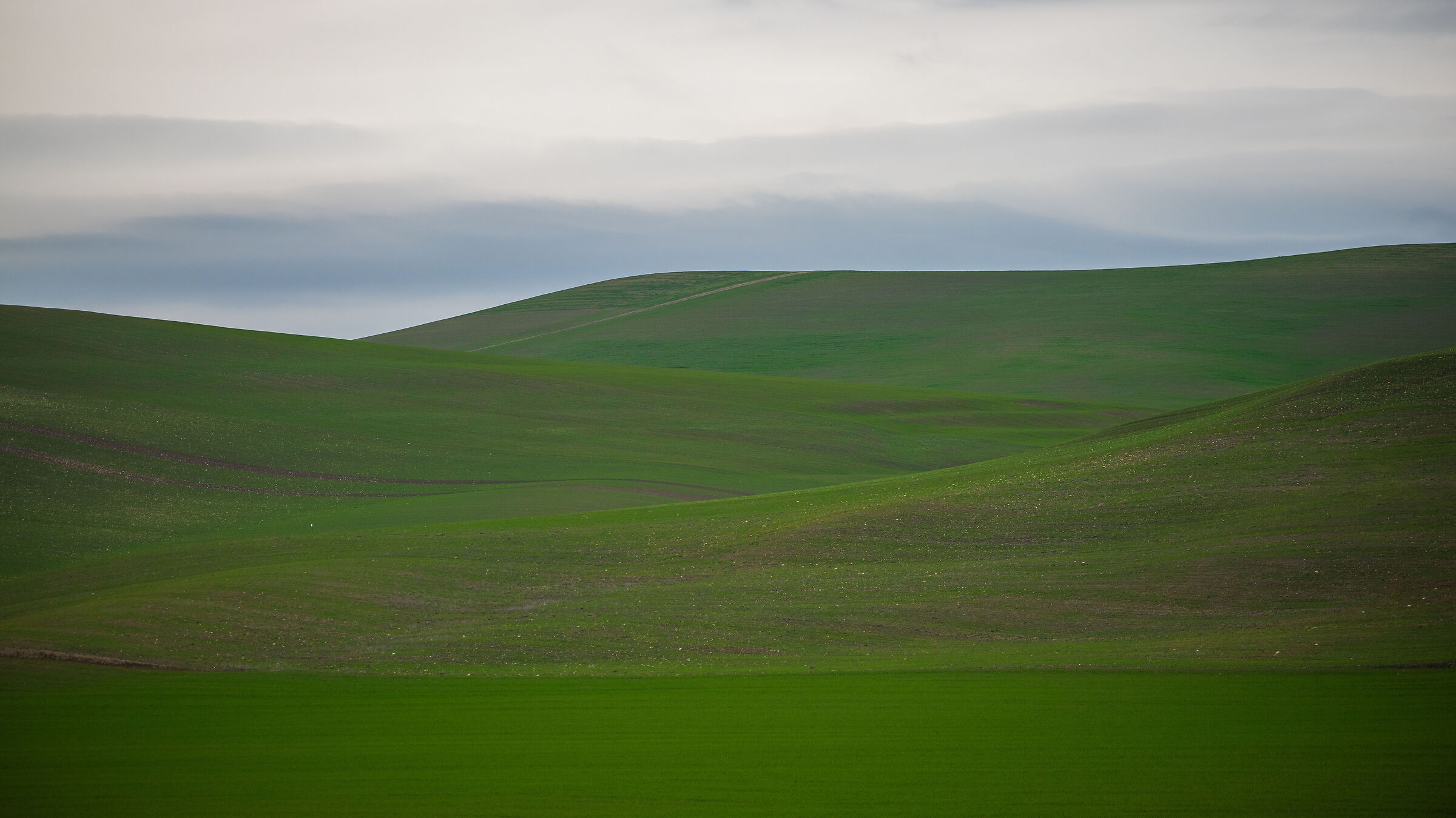 The hills of the master Fontana