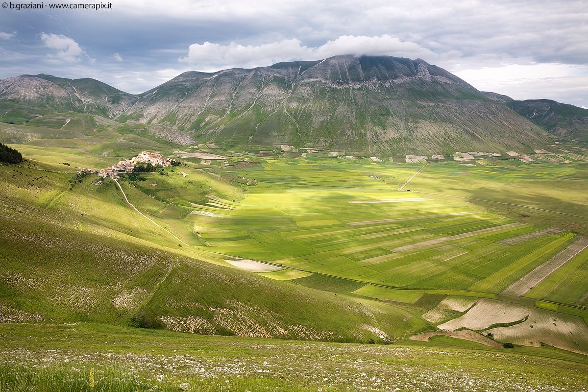 Prima fioritura a Castelluccio