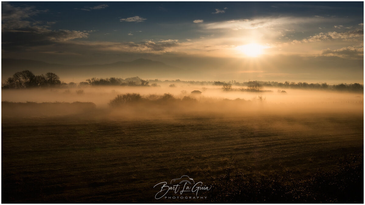 Golden Sunrise