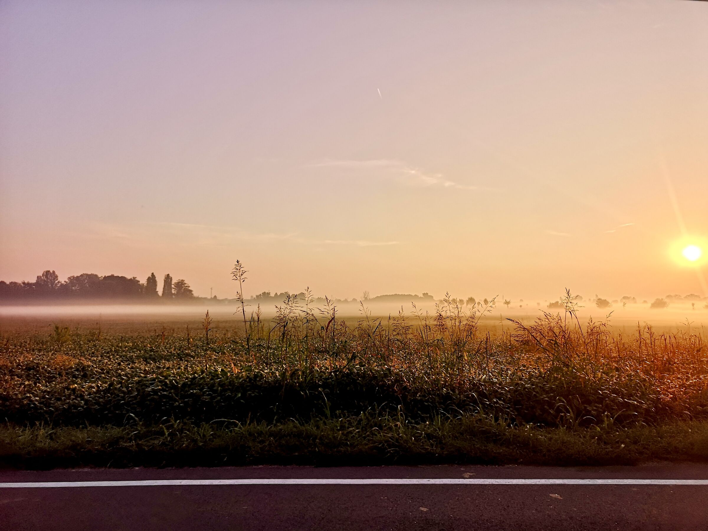 al mattino l'alba andando a lavoro
