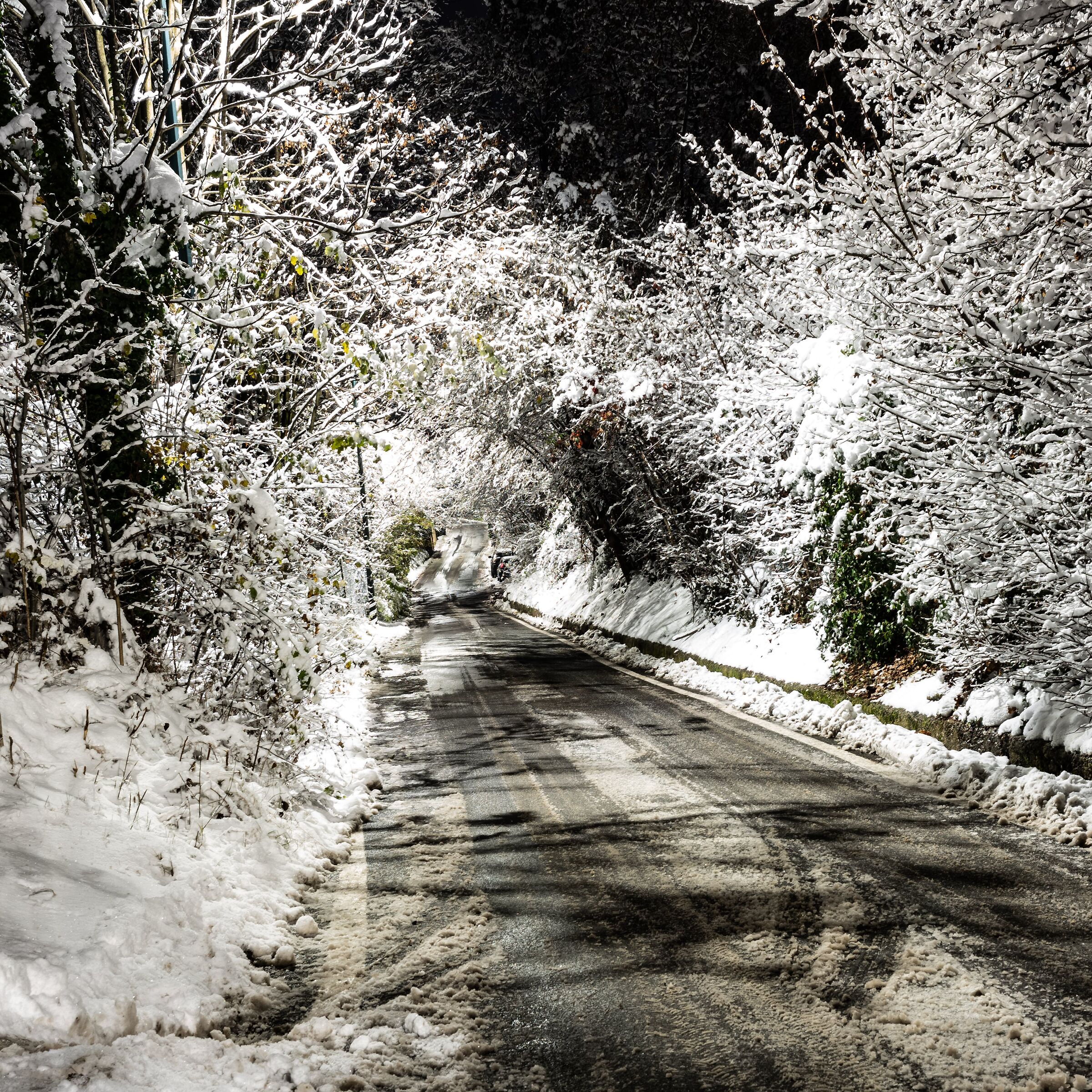 Notturno innevato