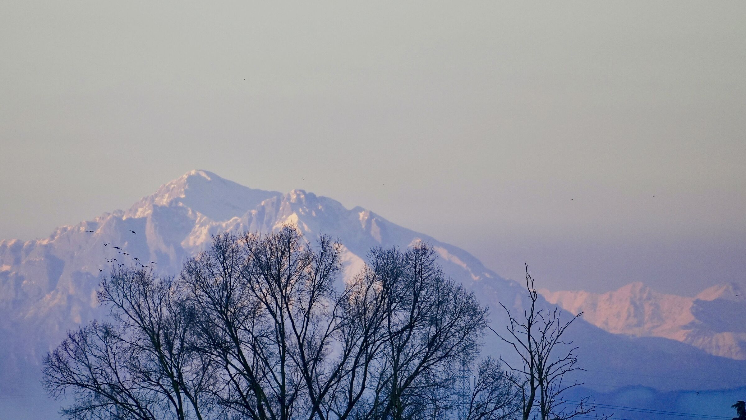 Alps, from Melegnano