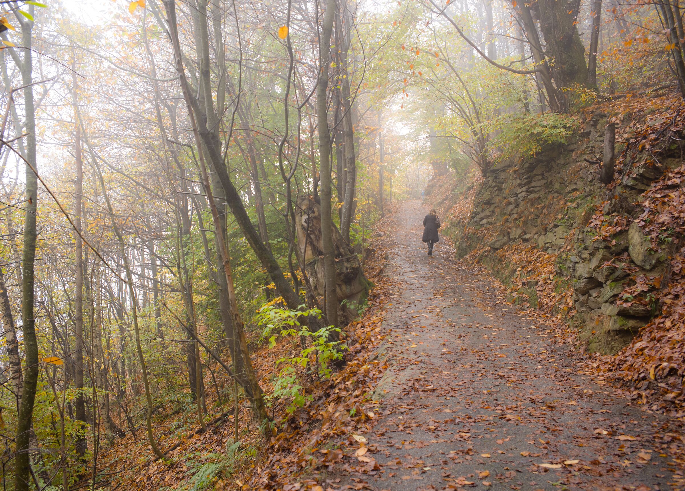 Autunno