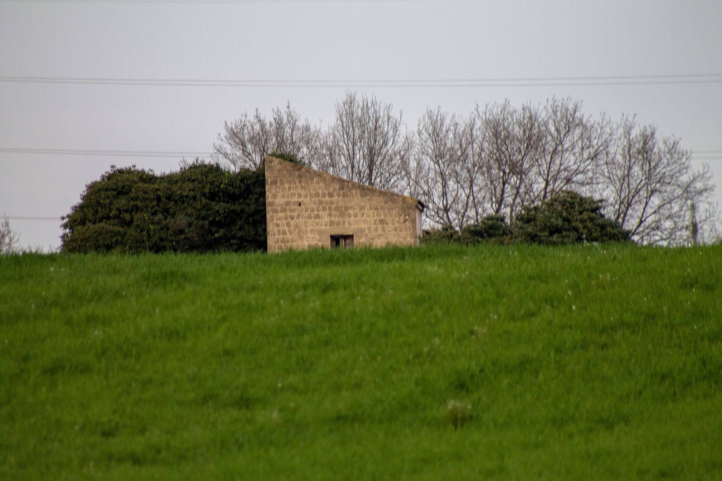 The house on the hill