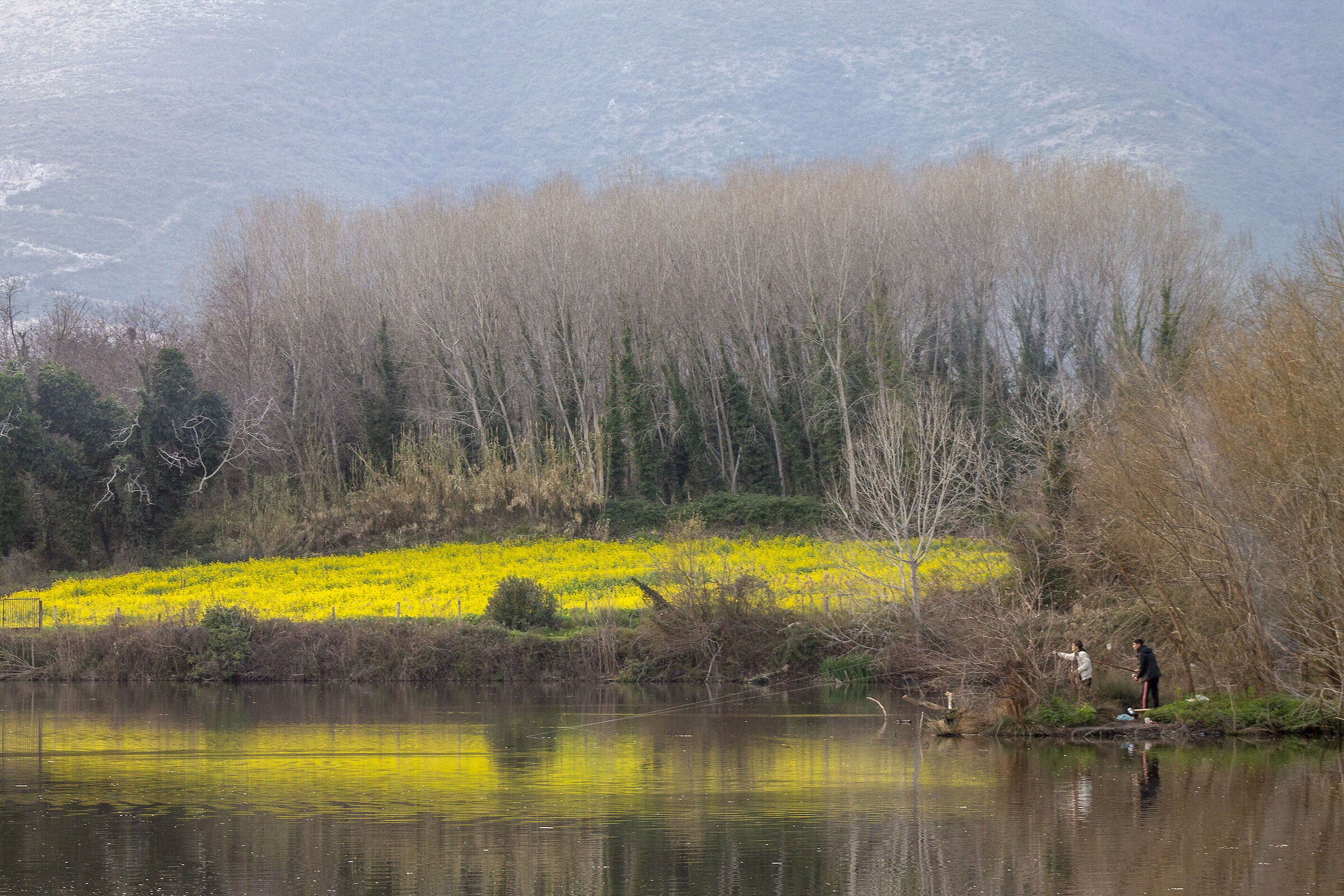 Reflections in the lake