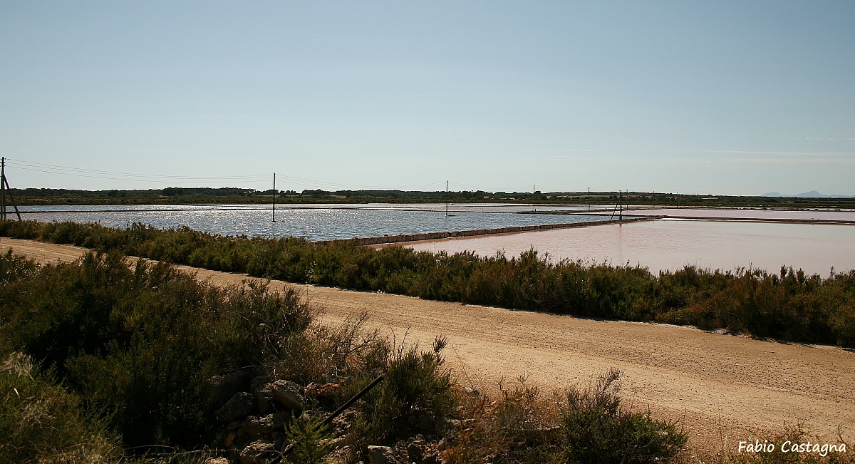 The salt marshes of Es Trenc