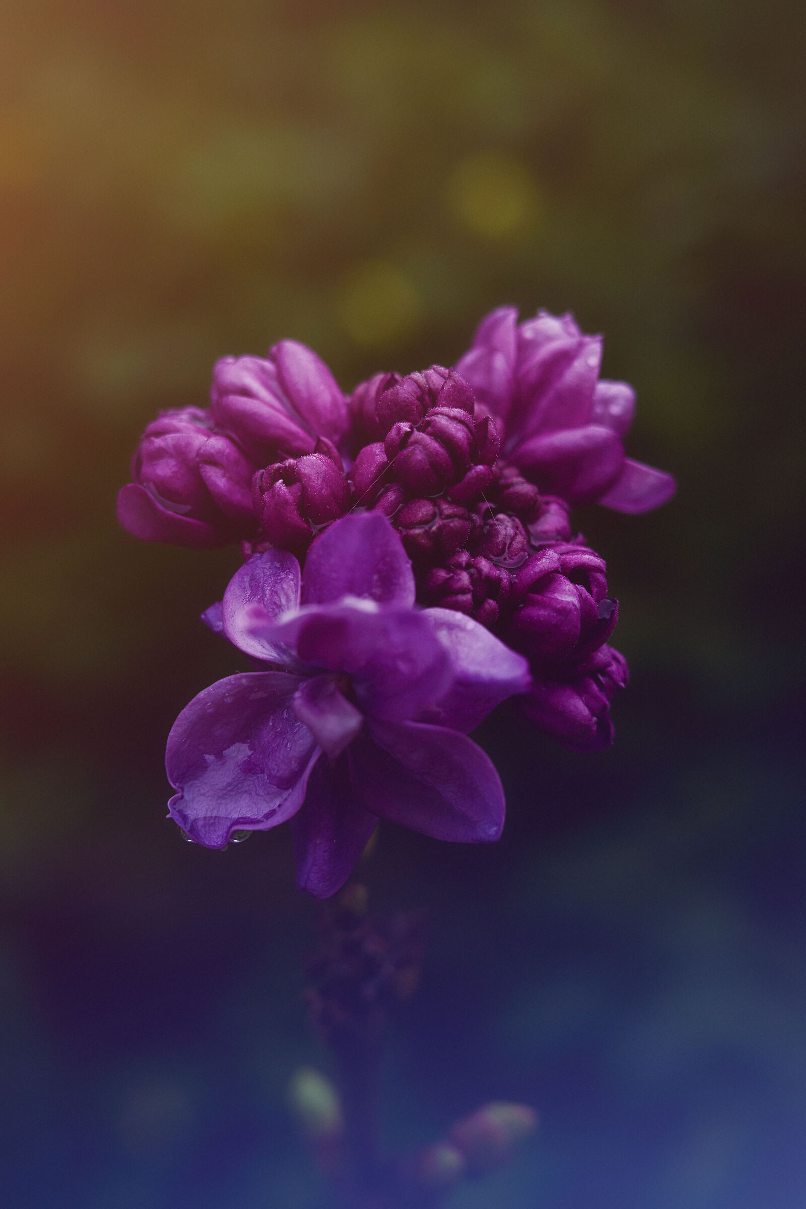 Spiragli di luce dopo la pioggia