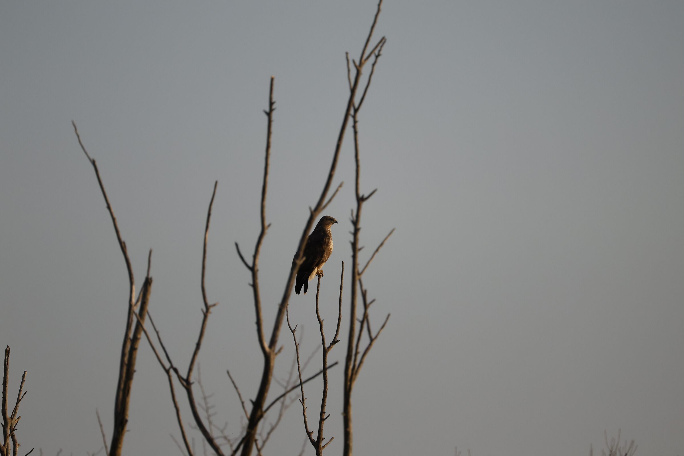 Untitled Photo