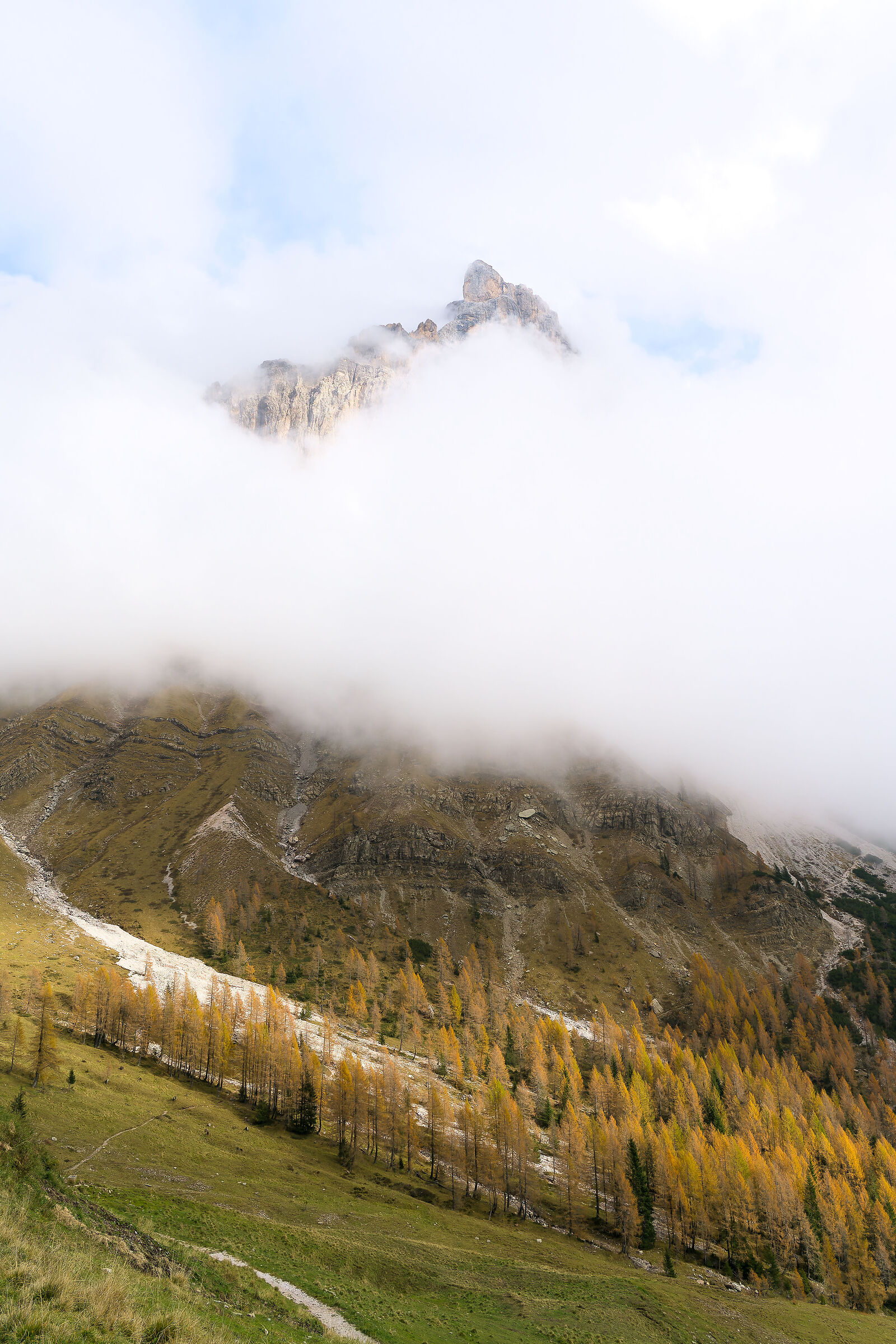 Cimon della pala, Rolle