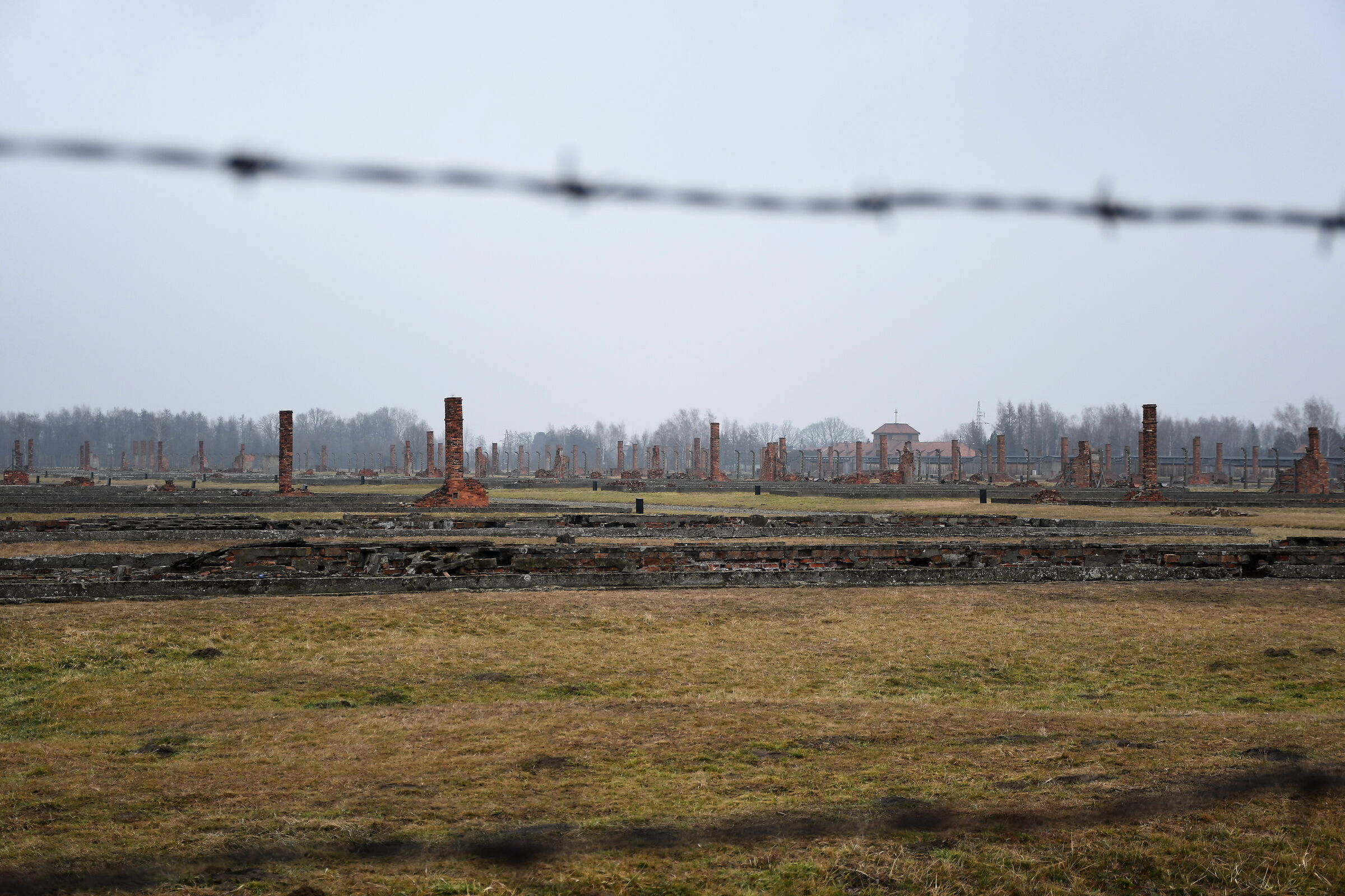 Birkenau