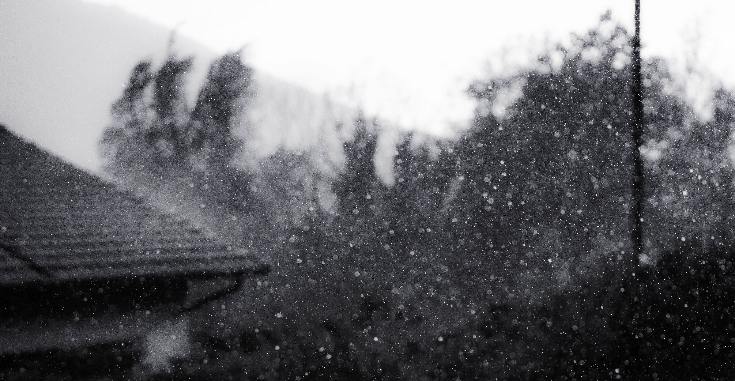 Untitled Photo