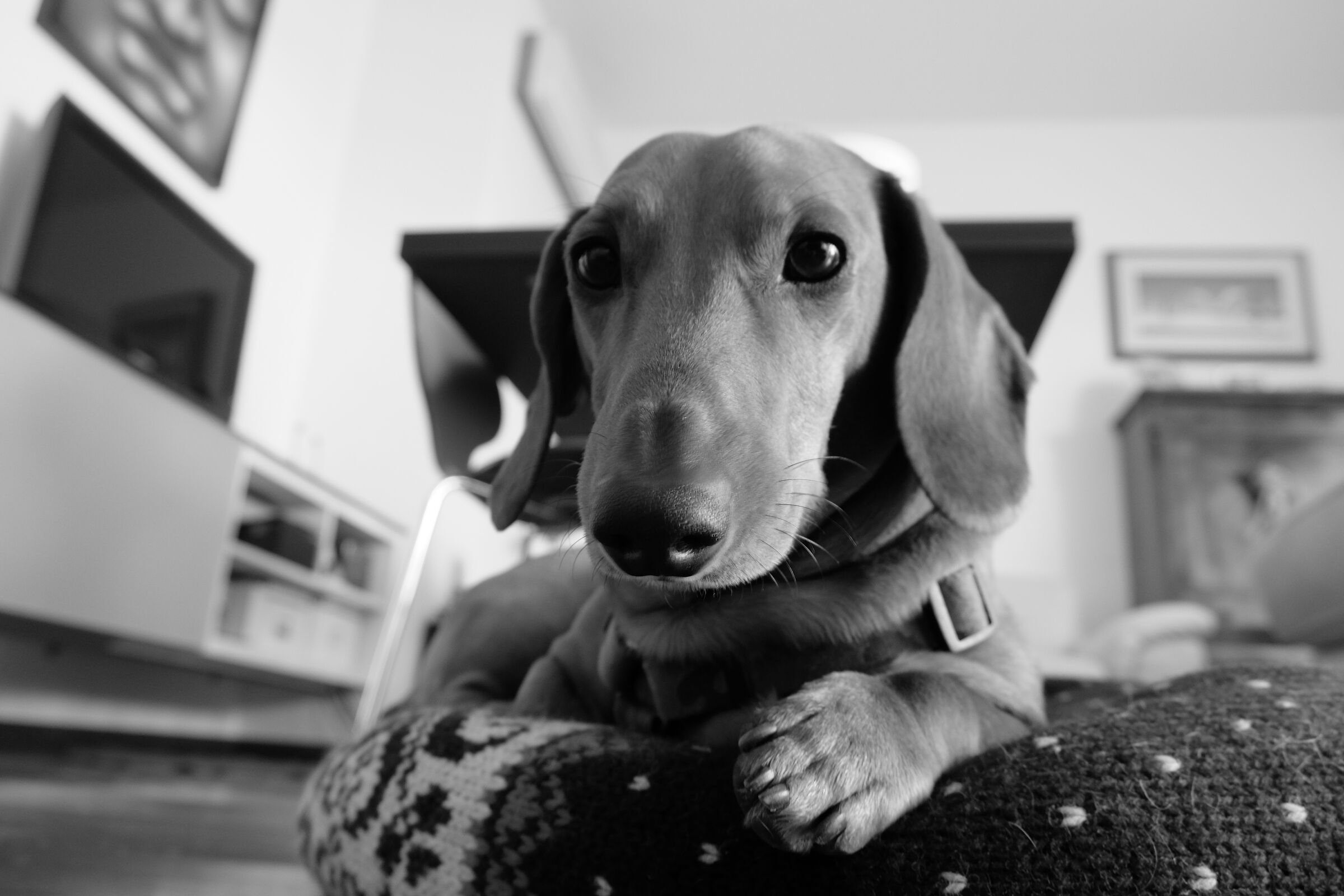 Bubu
