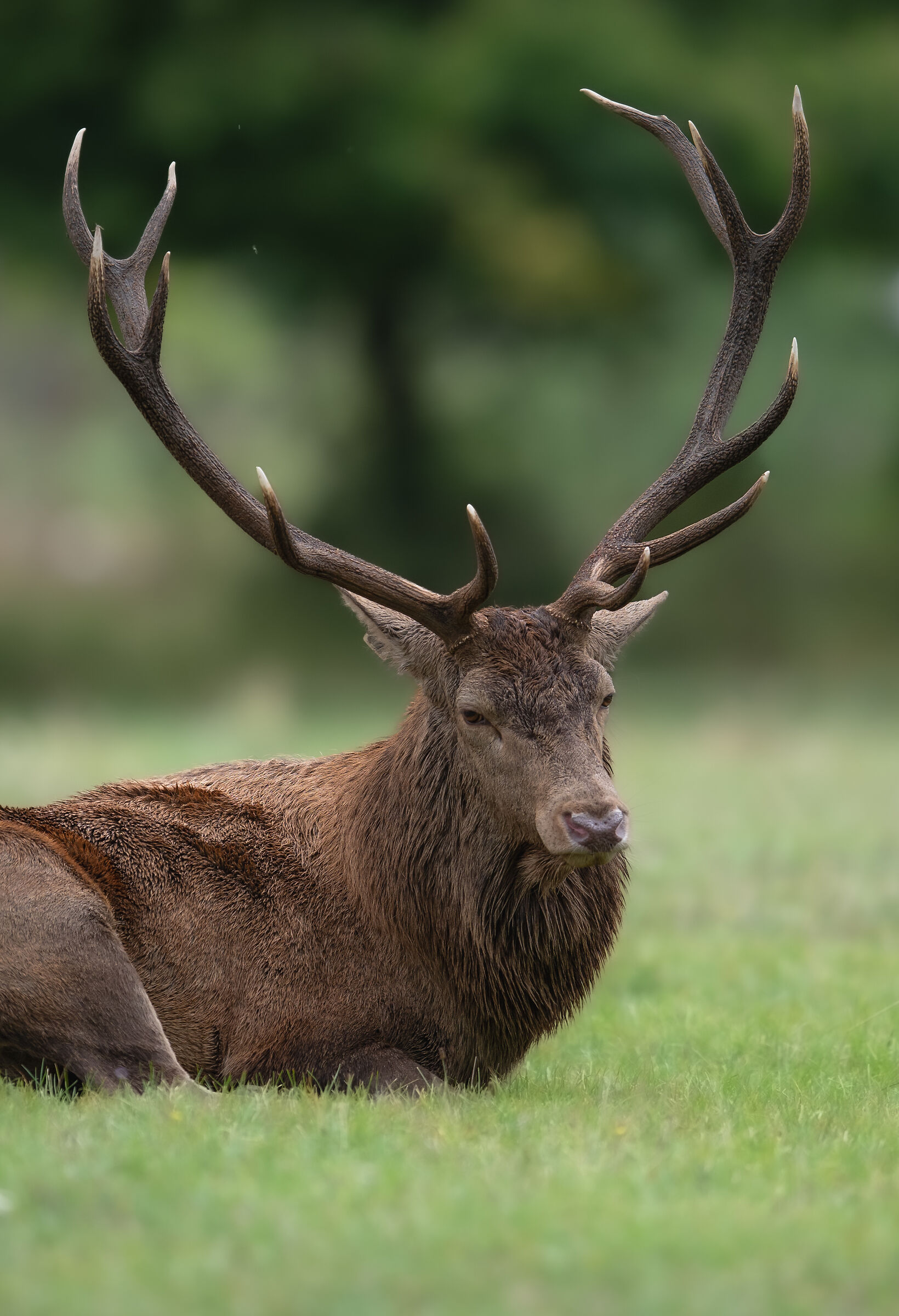 The first time in the National Park of Abruzzo Lazio and Mo