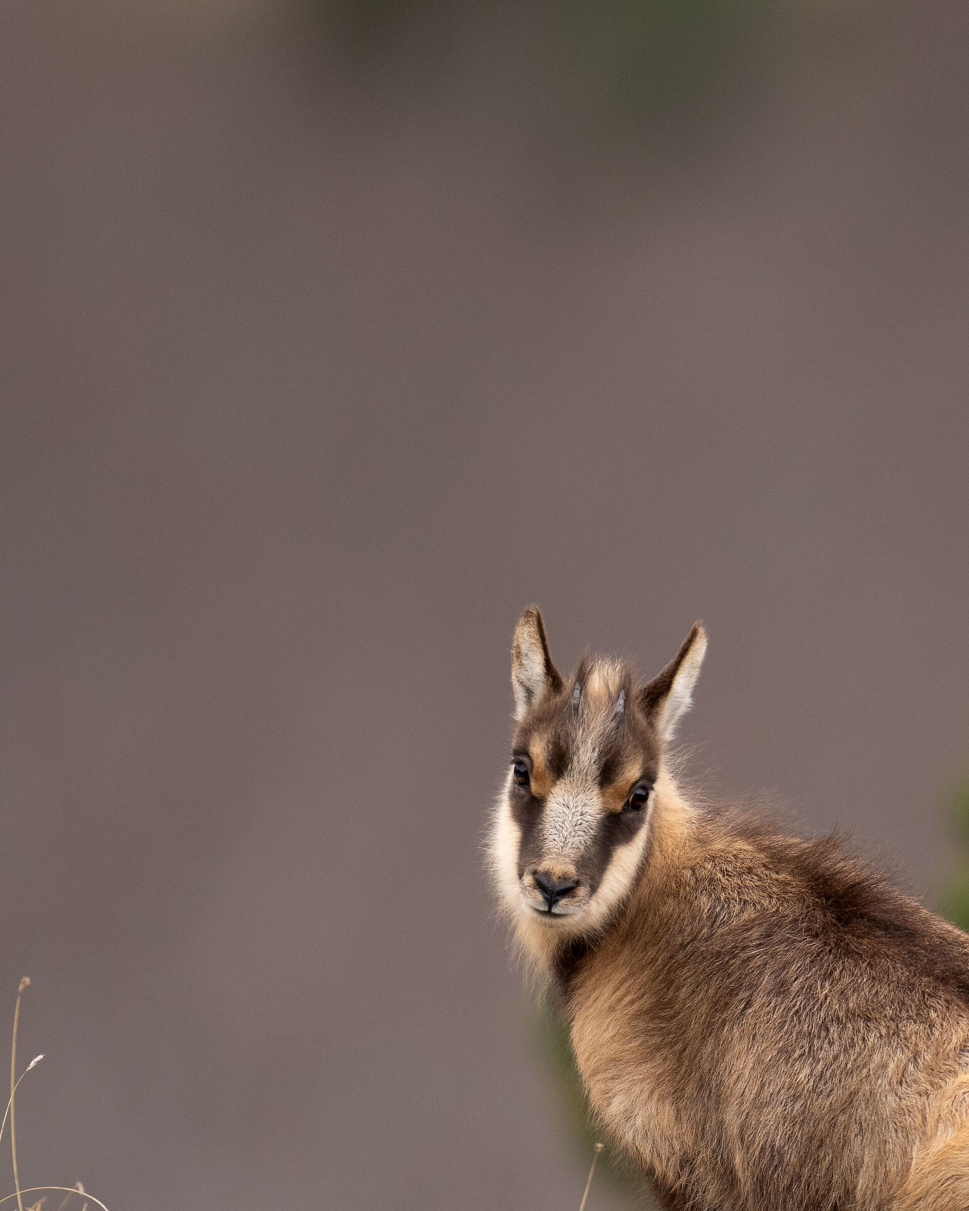 Last outing in the Sibillini Mountains National Park