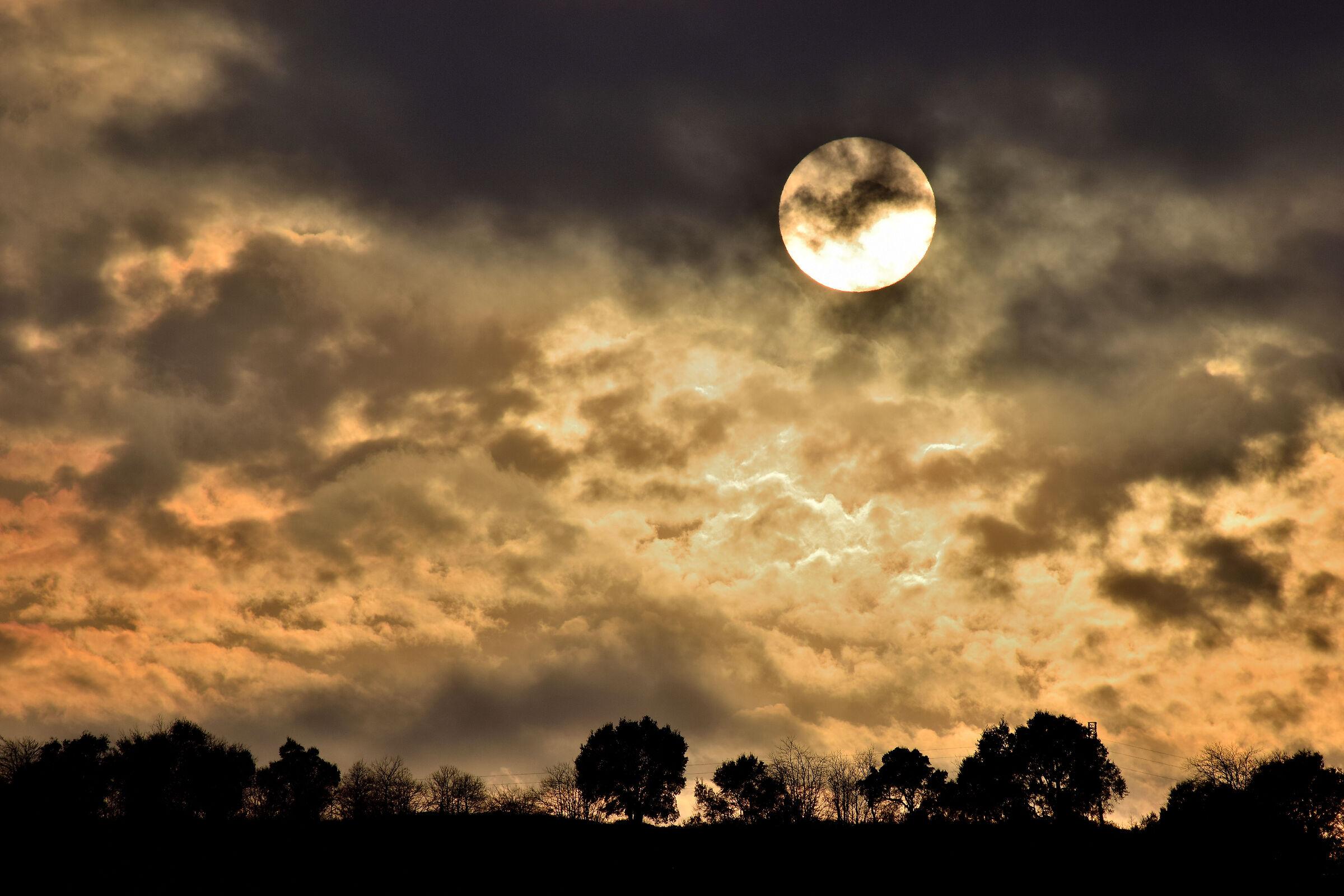 Tramonti in lockdown dal giardino di casa (1)