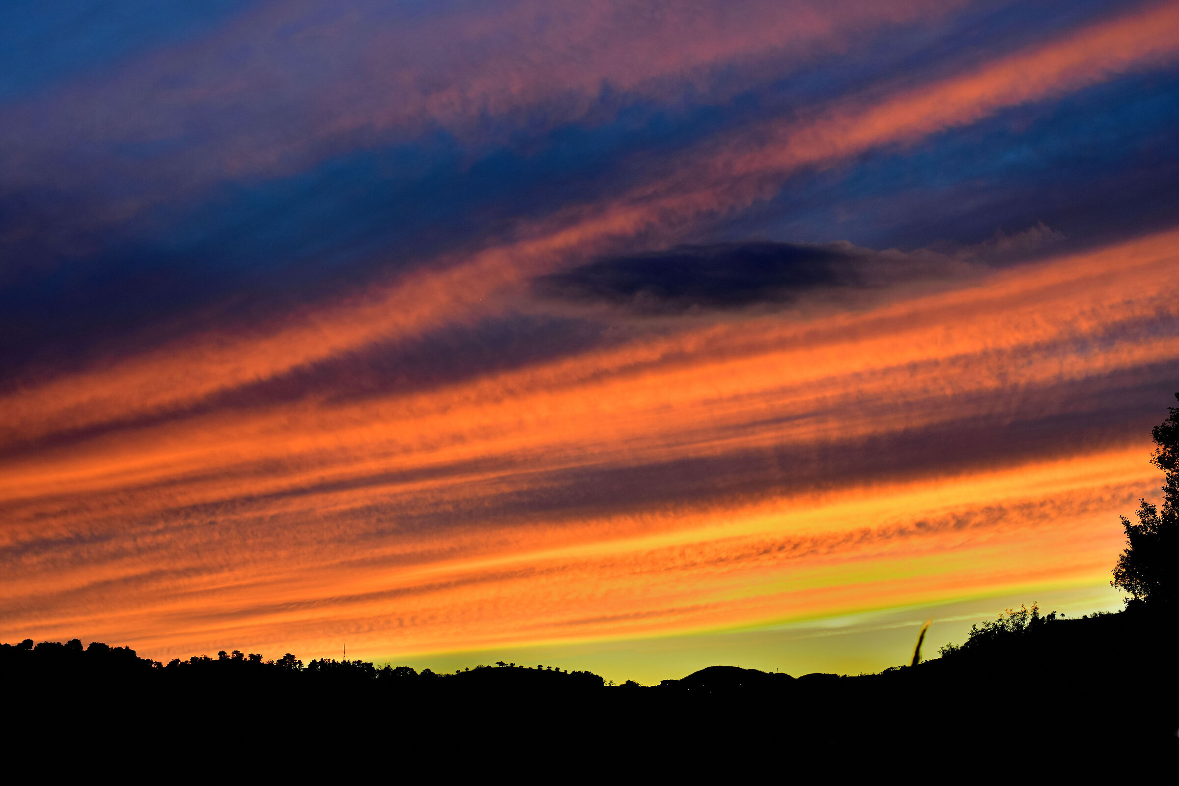 Tramonti in lockdown dal giardino di casa (2)