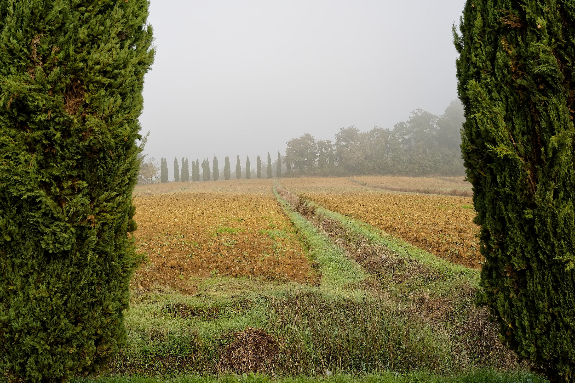 Toscana