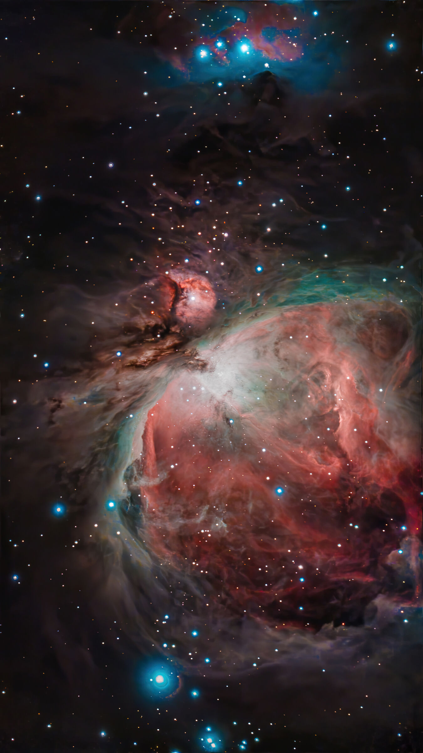 M42 - Nebulosa di Orione