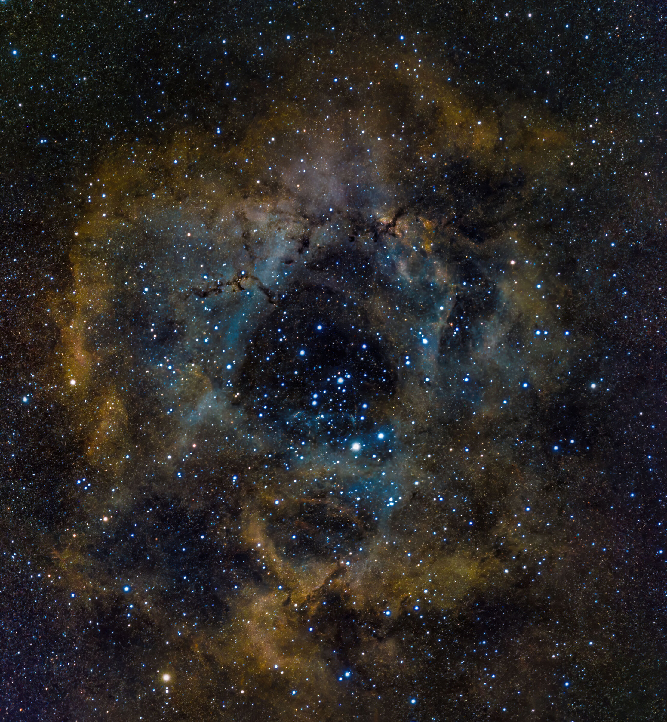 NGC 2237 - Nebulosa Rosetta