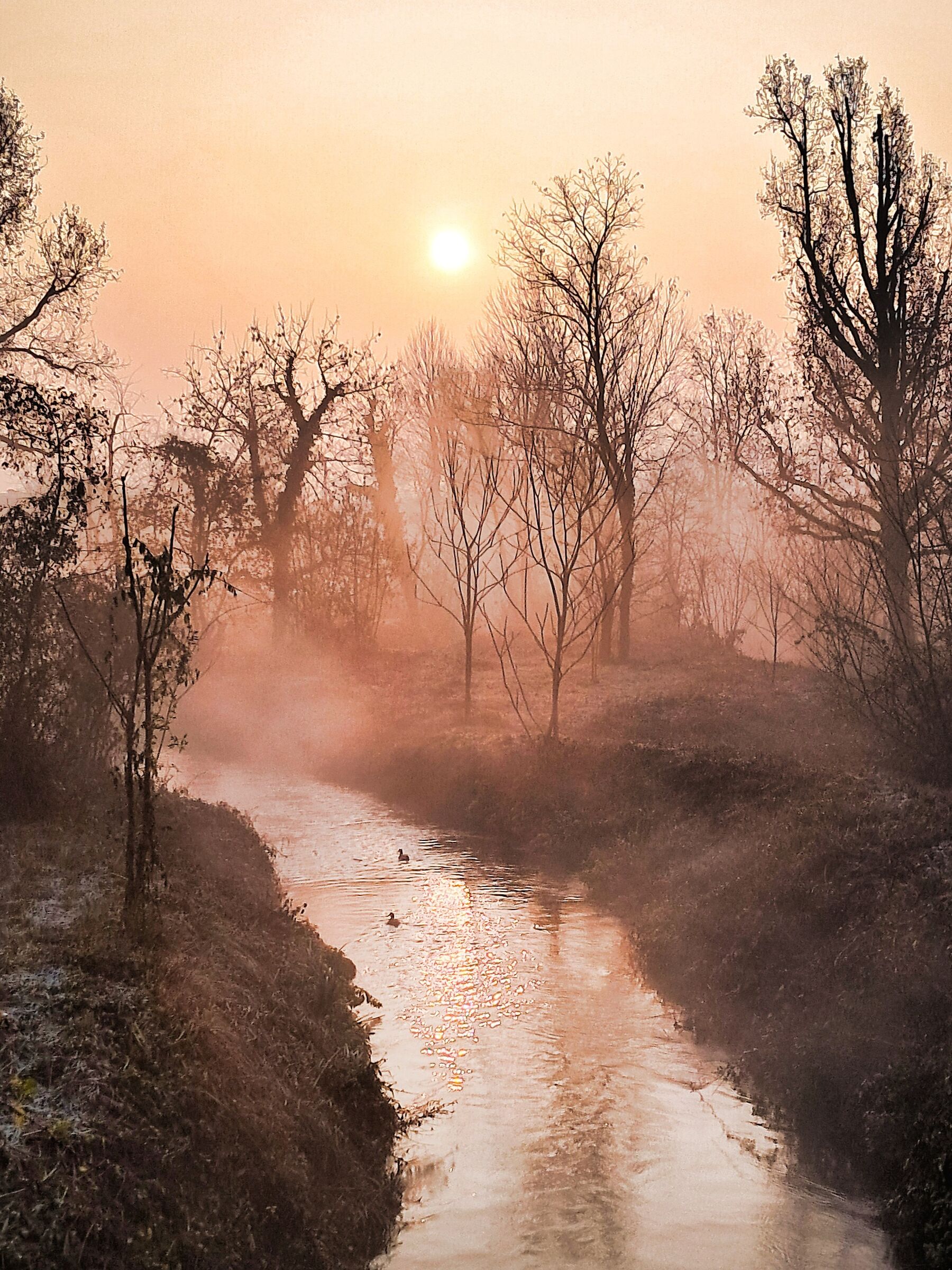 Inverno in provincia di Milano