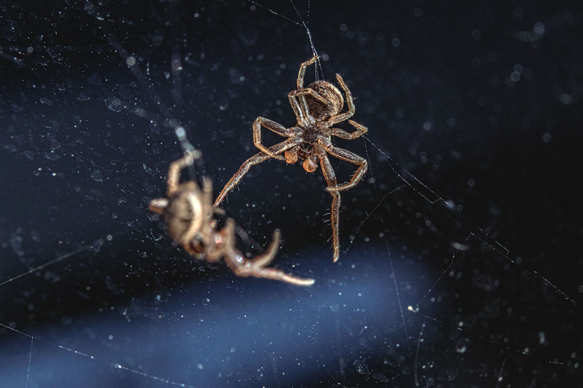 Lost in your own reflection