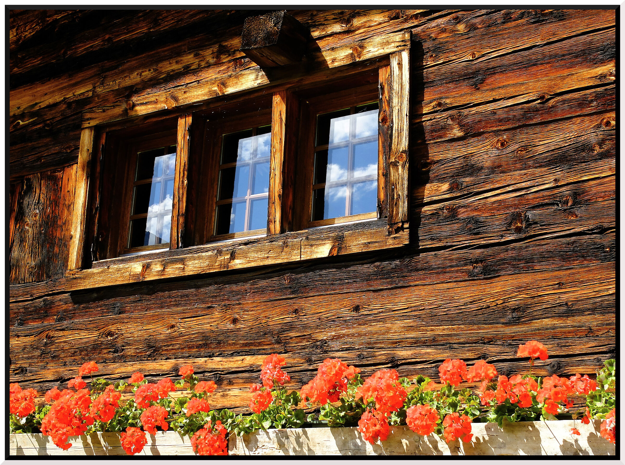 swiss